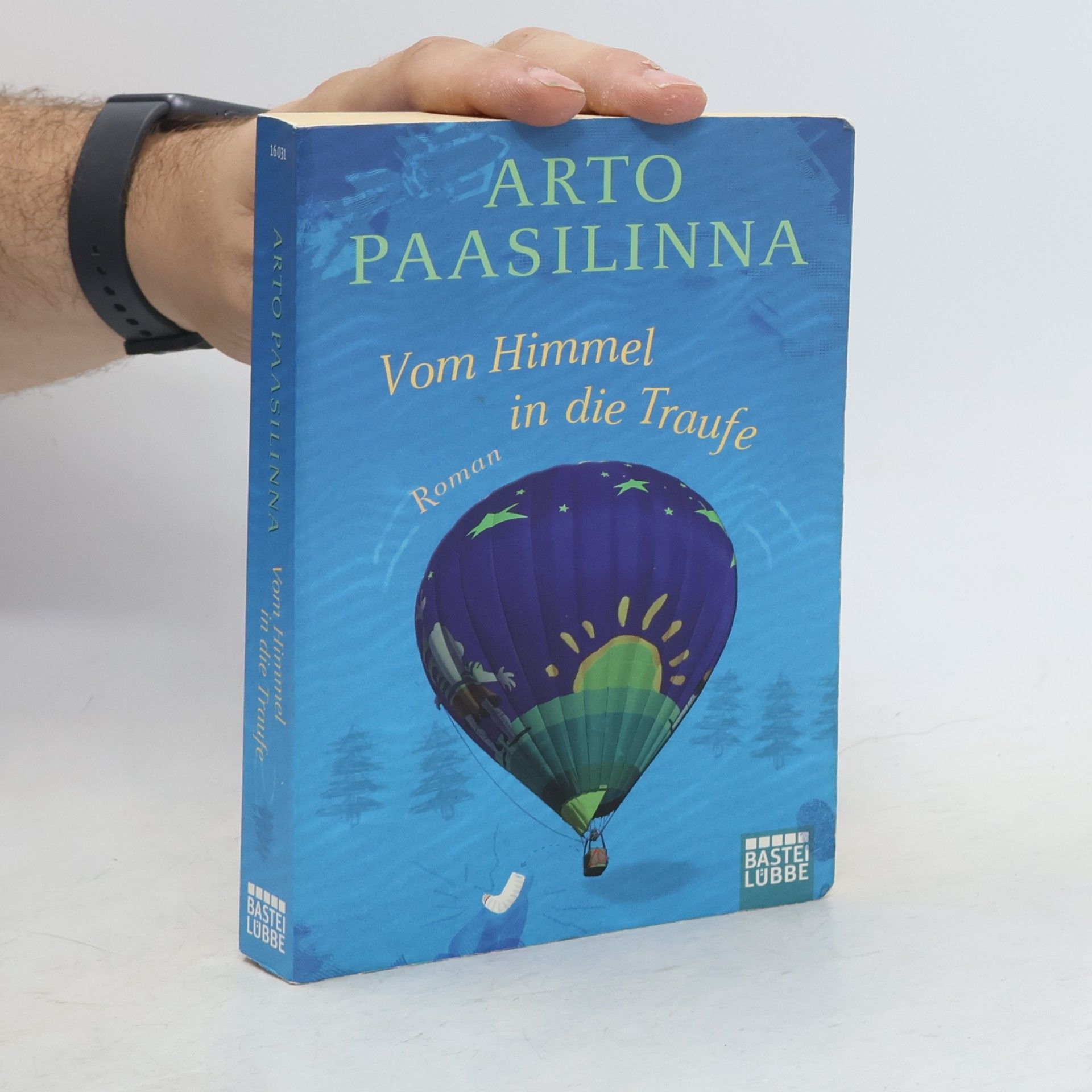 Arto Paasilinna Vom Himmel in die Traufe