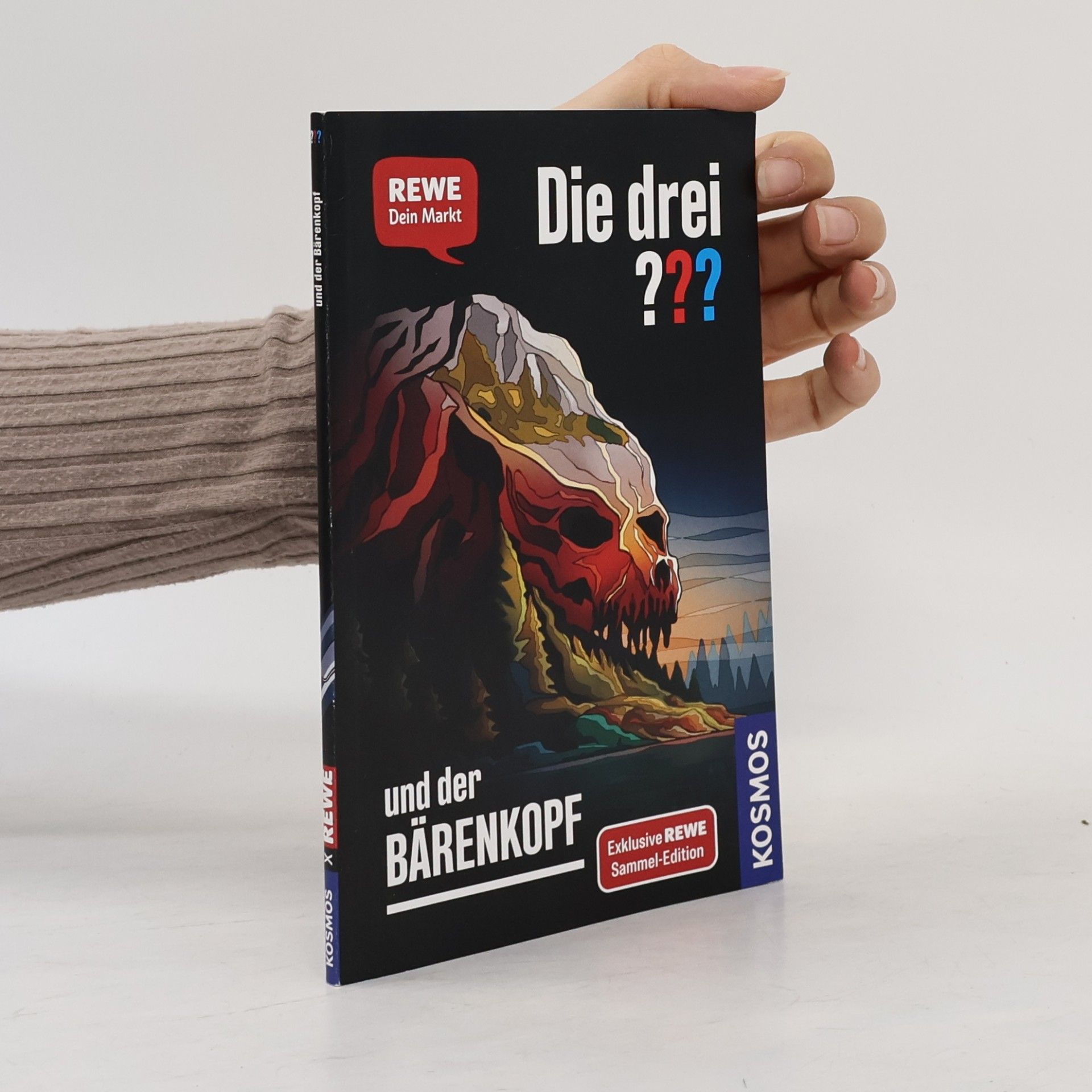 Andreas Ruch Die drei ??? und der Bärenkopf