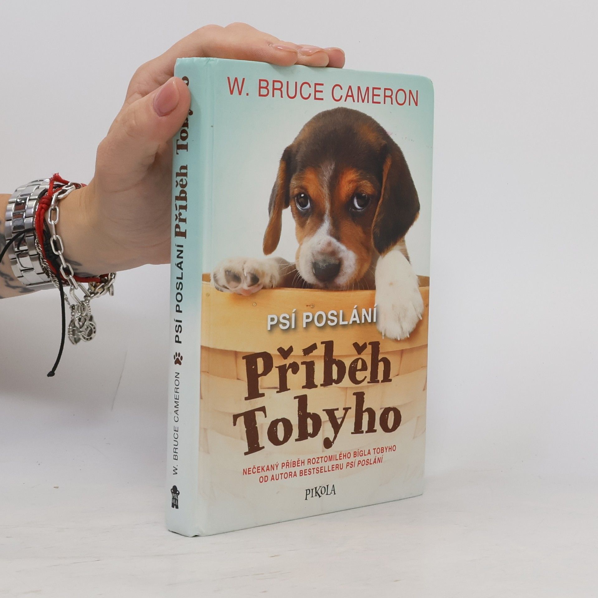 W. Bruce Cameron Psí poslání: Příběh Tobyho