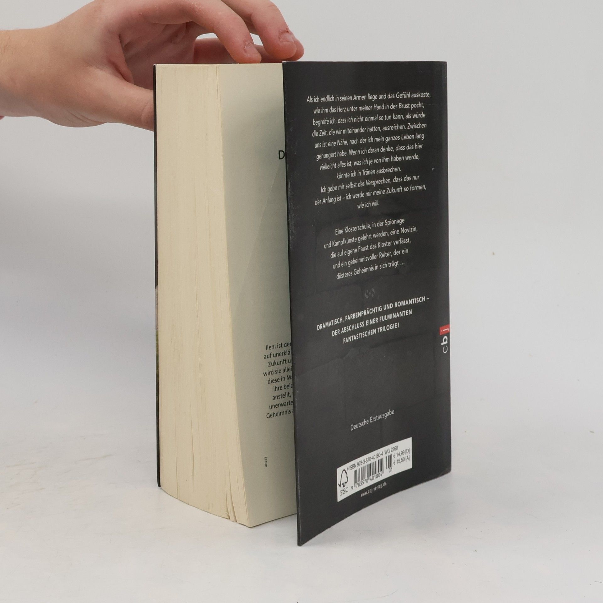 Robin LaFevers Mortal heart - das Erbe der Seherin