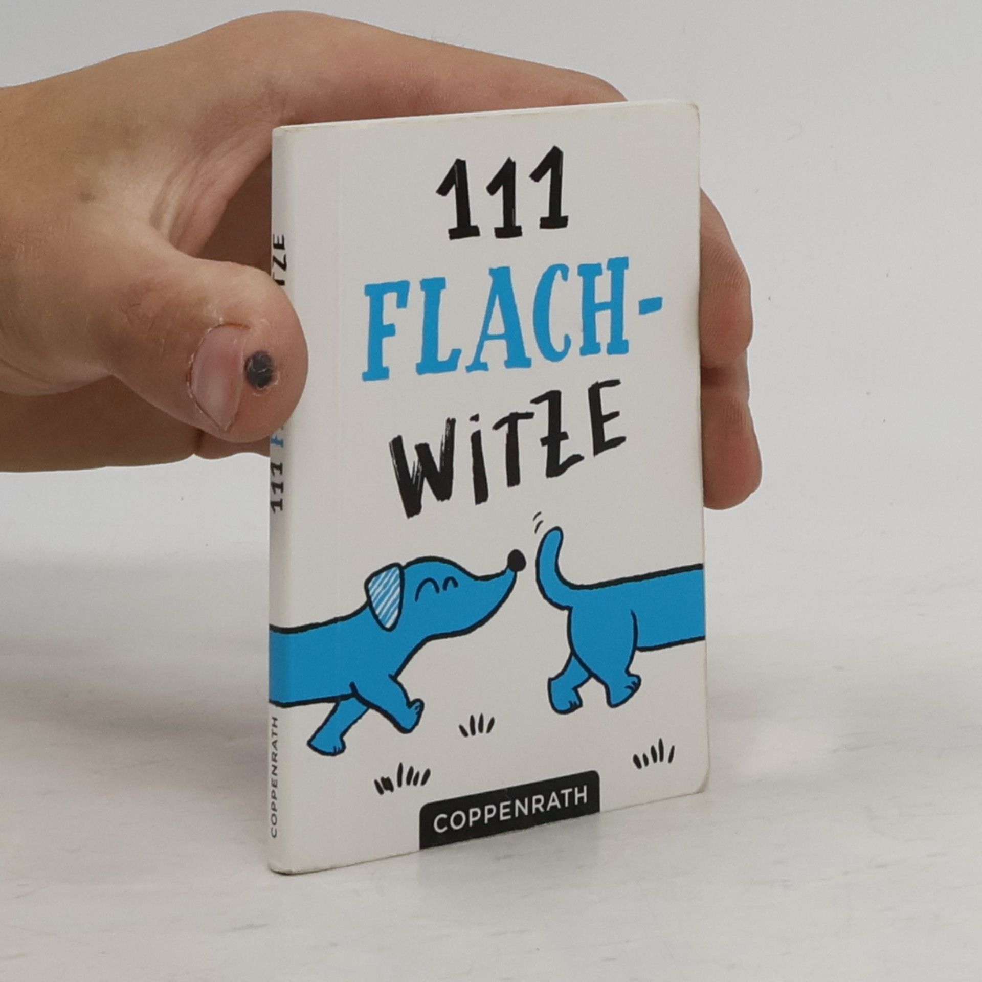 Autorenkollektiv 111 Flach-Witze
