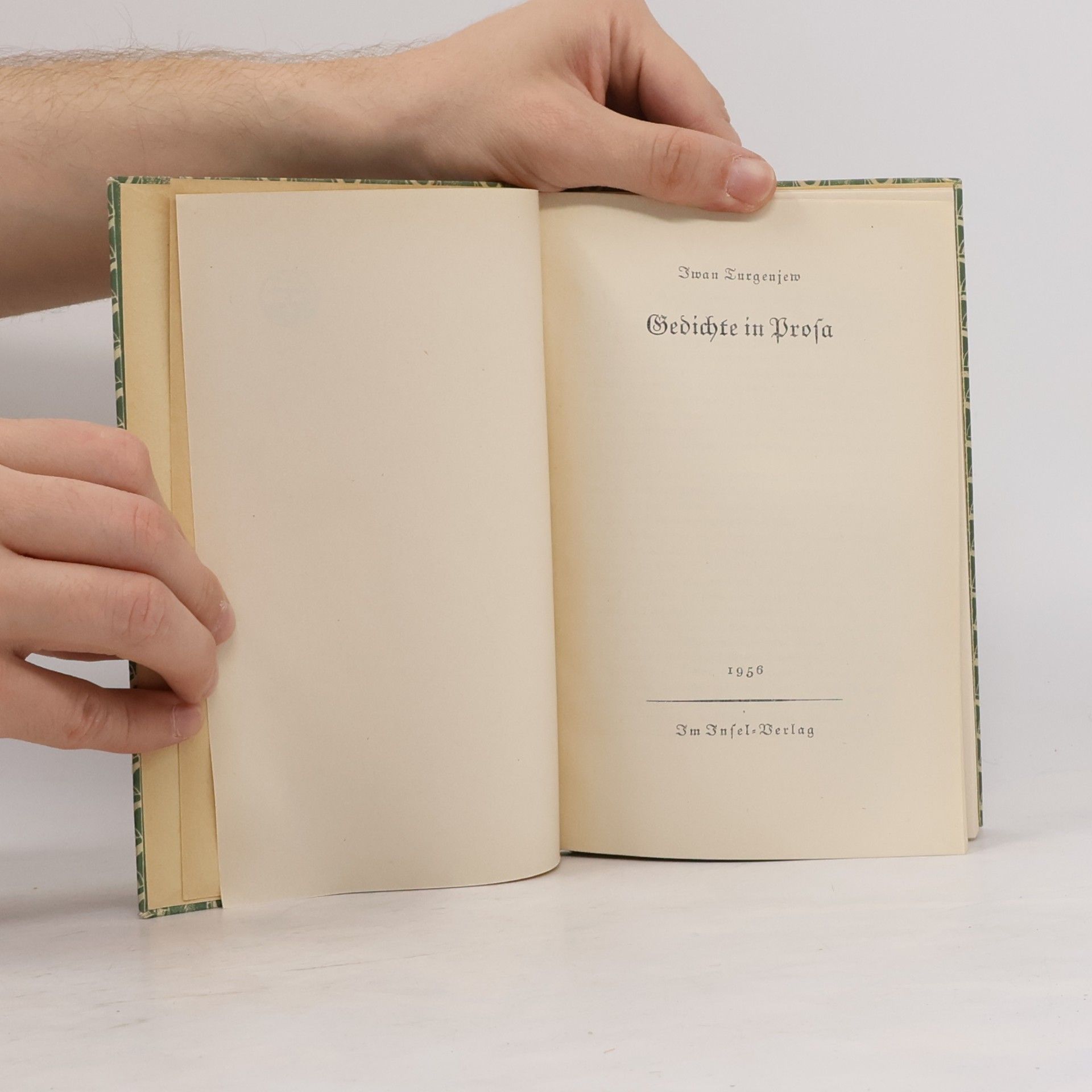 Ivan Sergejevič Turgenev Gedichte in Prosa