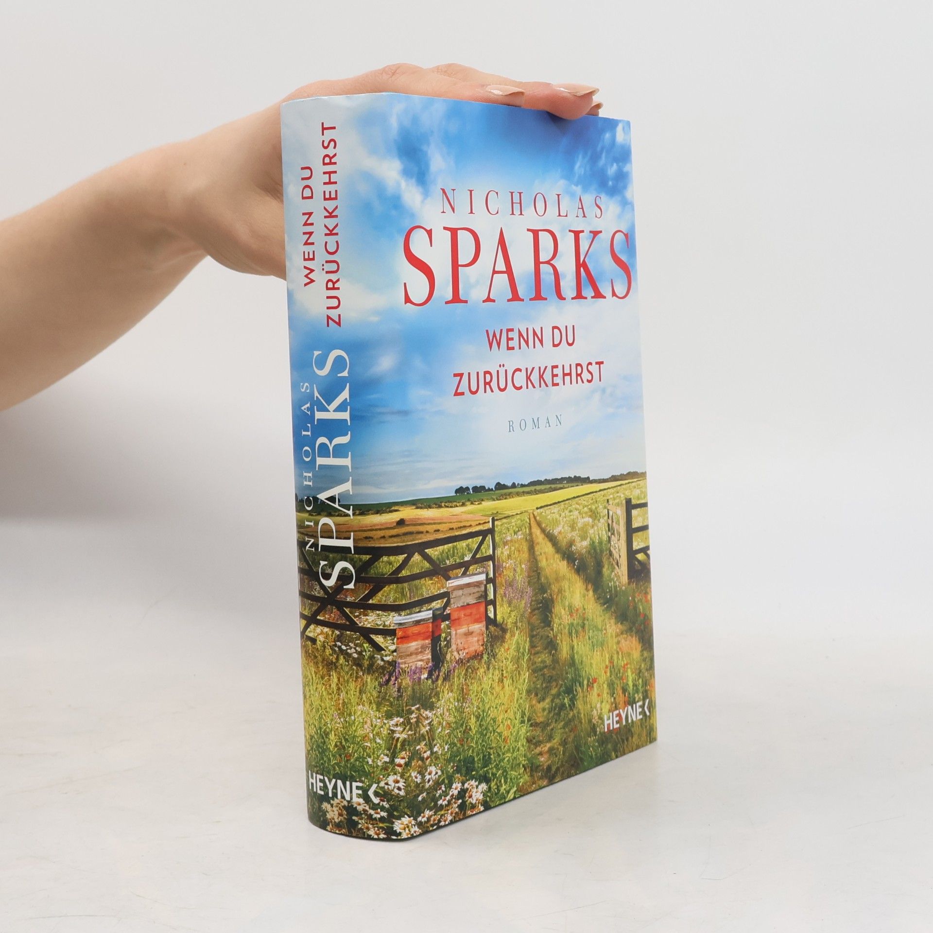 Nicholas Sparks Wenn du zurückkehrst