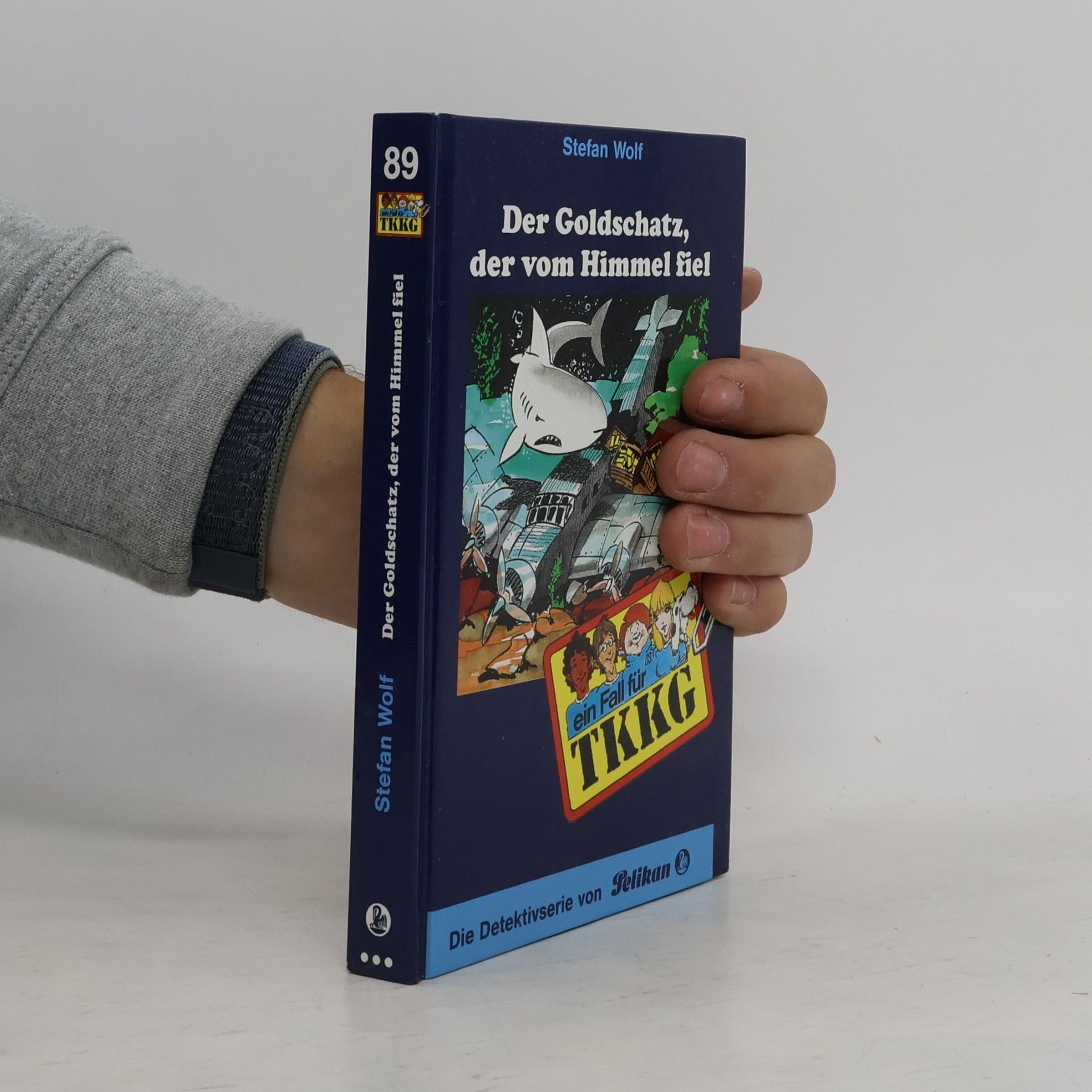 Autorenkollektiv Ein Fall für TKKG, Bd.89, Der Goldschatz, der vom Himmel fiel