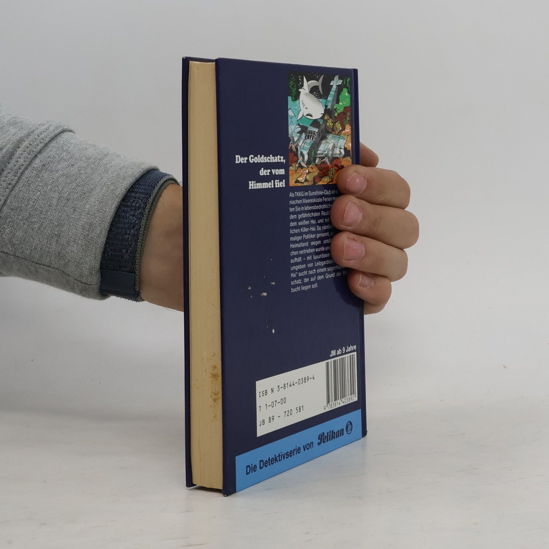 Autorenkollektiv Ein Fall für TKKG, Bd.89, Der Goldschatz, der vom Himmel fiel