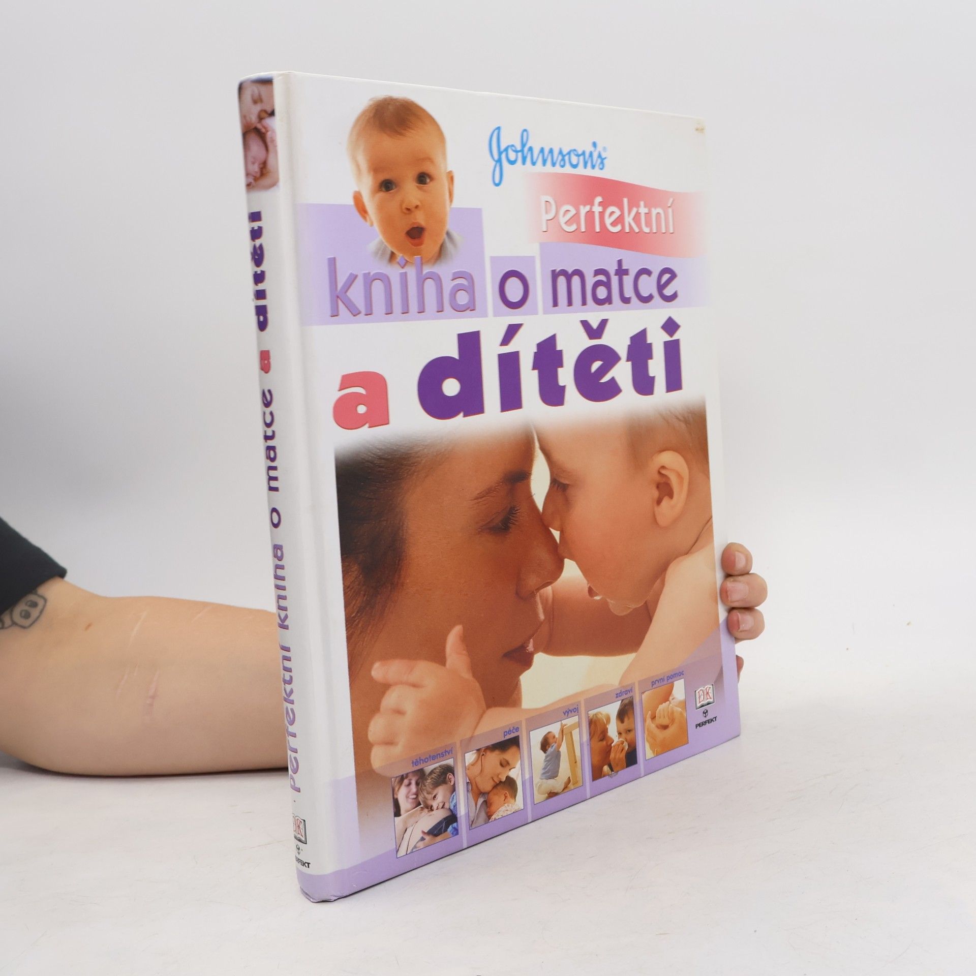 Dagmar Eisenmann Perfektní kniha o matce a dítěti