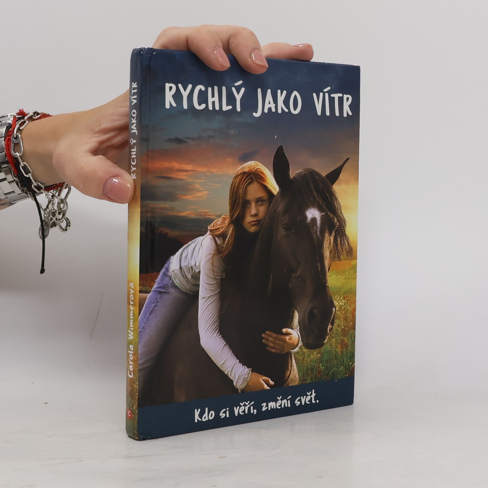 Rychlý jako vítr