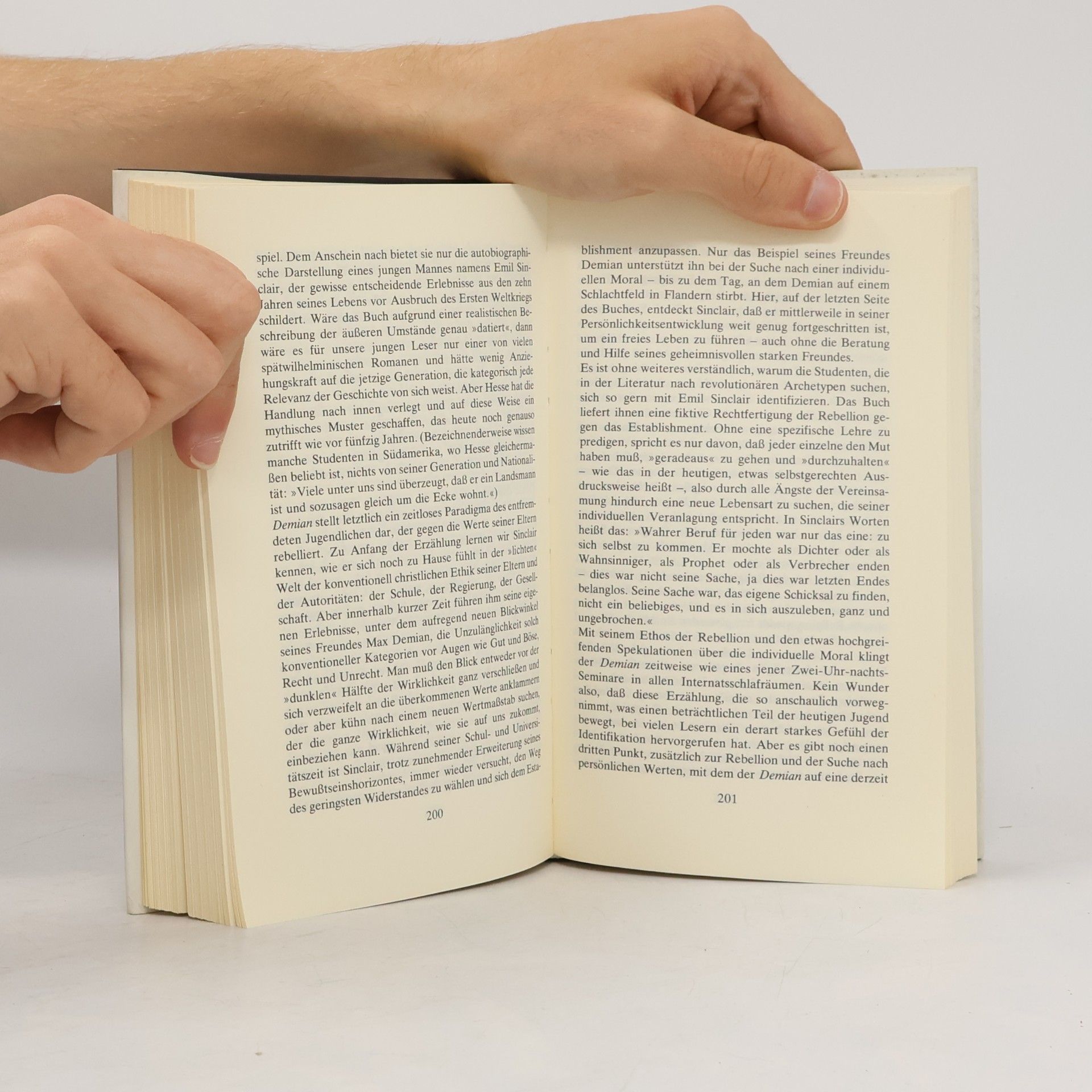 Ursula Michels-Wenz Der Schriftsteller Hermann Hesse