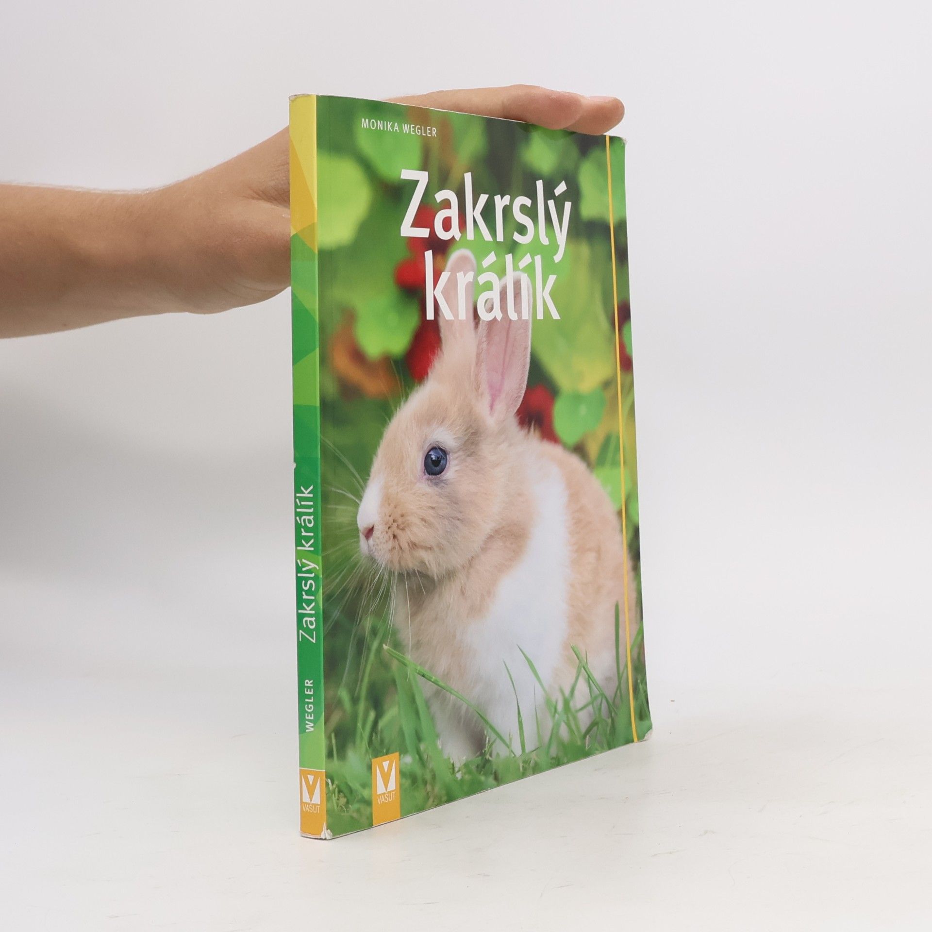 Monika Wegler Zakrslý králík