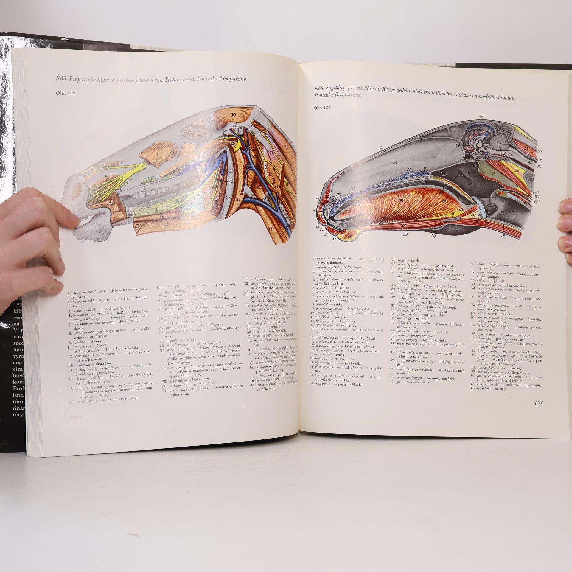 Peter Popesko Atlas topografickej anatómie hospodárskych zvierat. I. -Hlava a krk