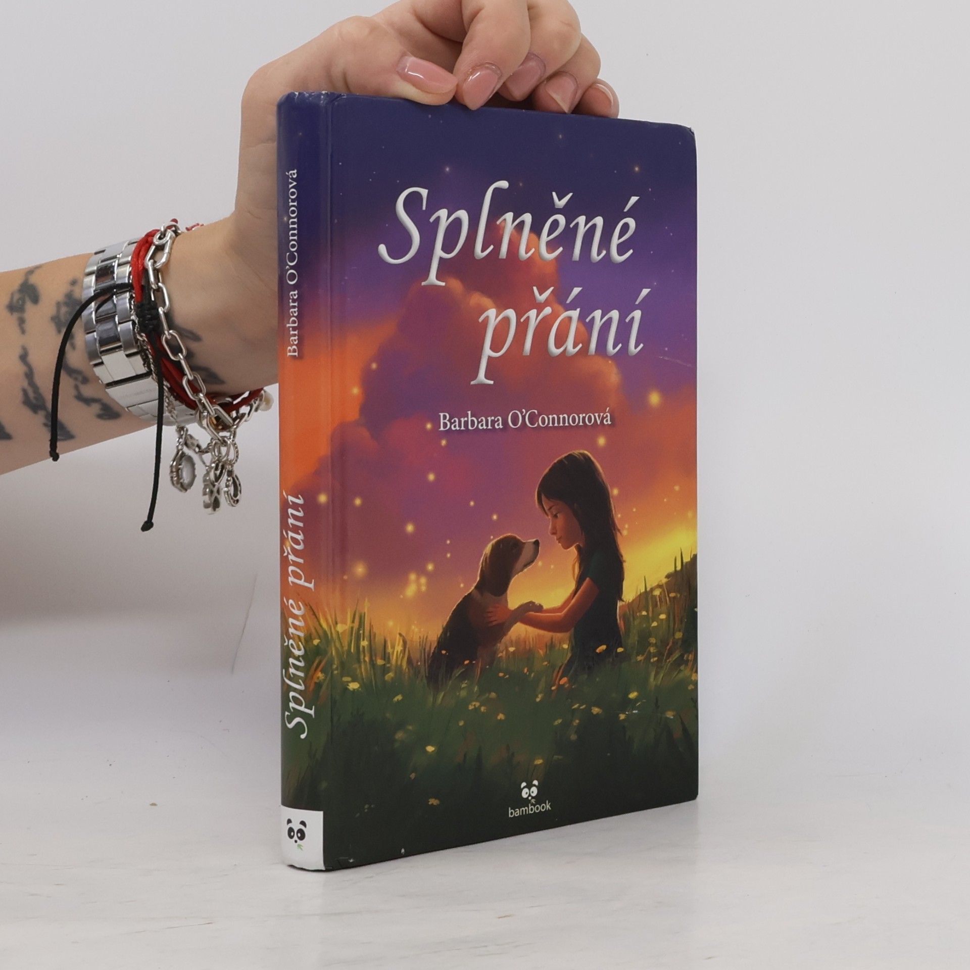 Barbara O'Connor Splněné přání