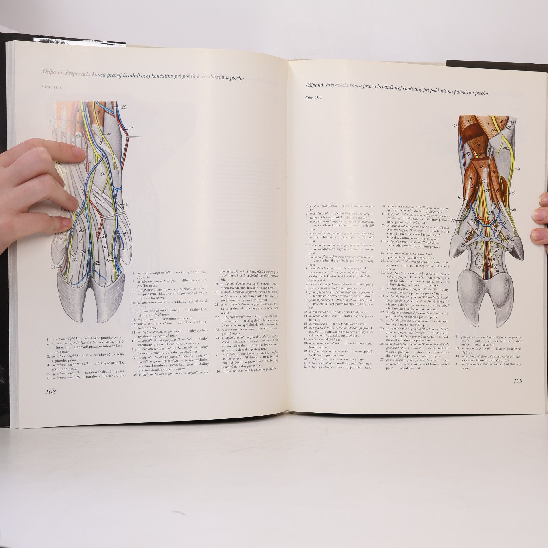 Peter Popesko Atlas topografickej anatómie hospodárskych zvierat : Diel III. - panva a končatiny