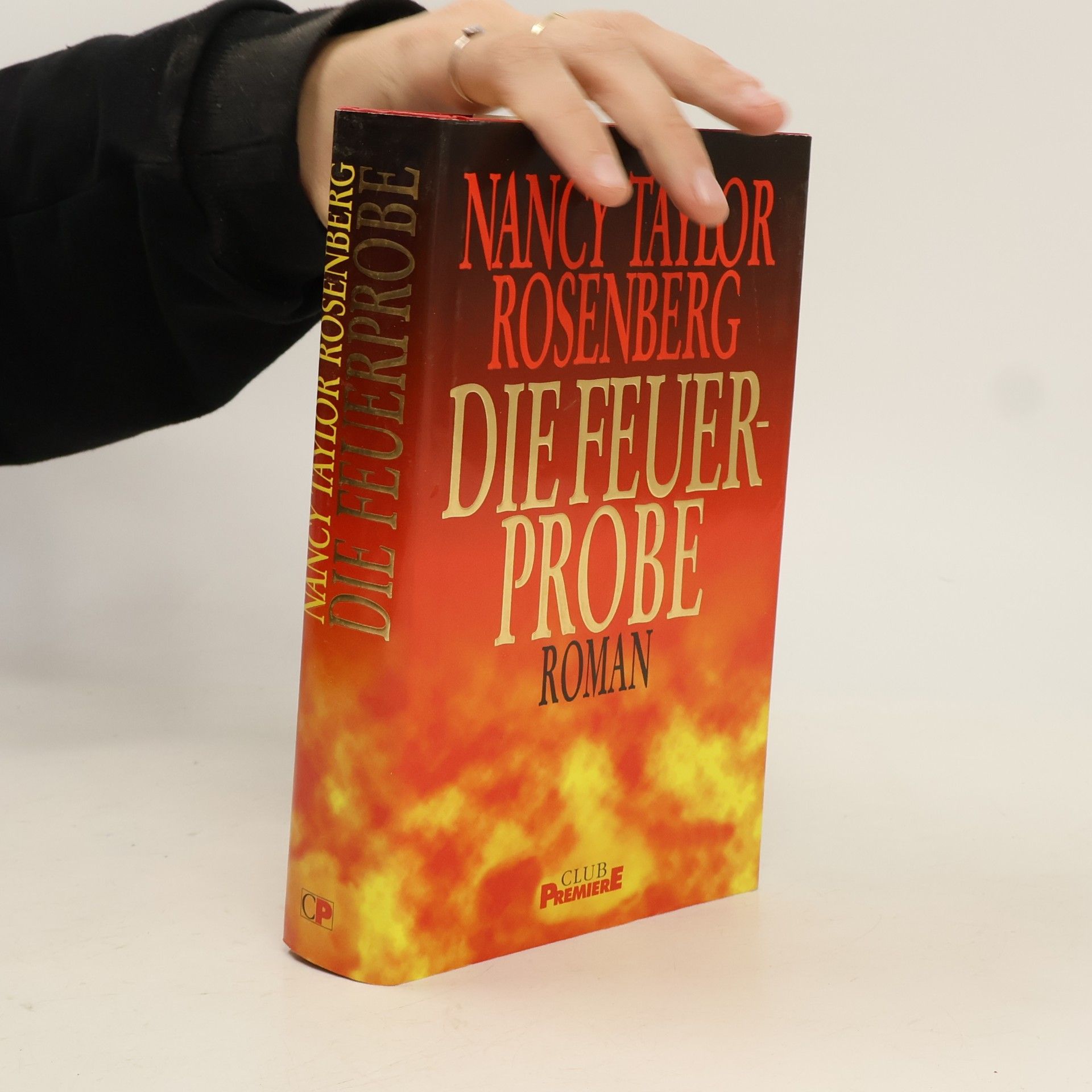 Nancy Taylor Rosenberg Die Feuerprobe