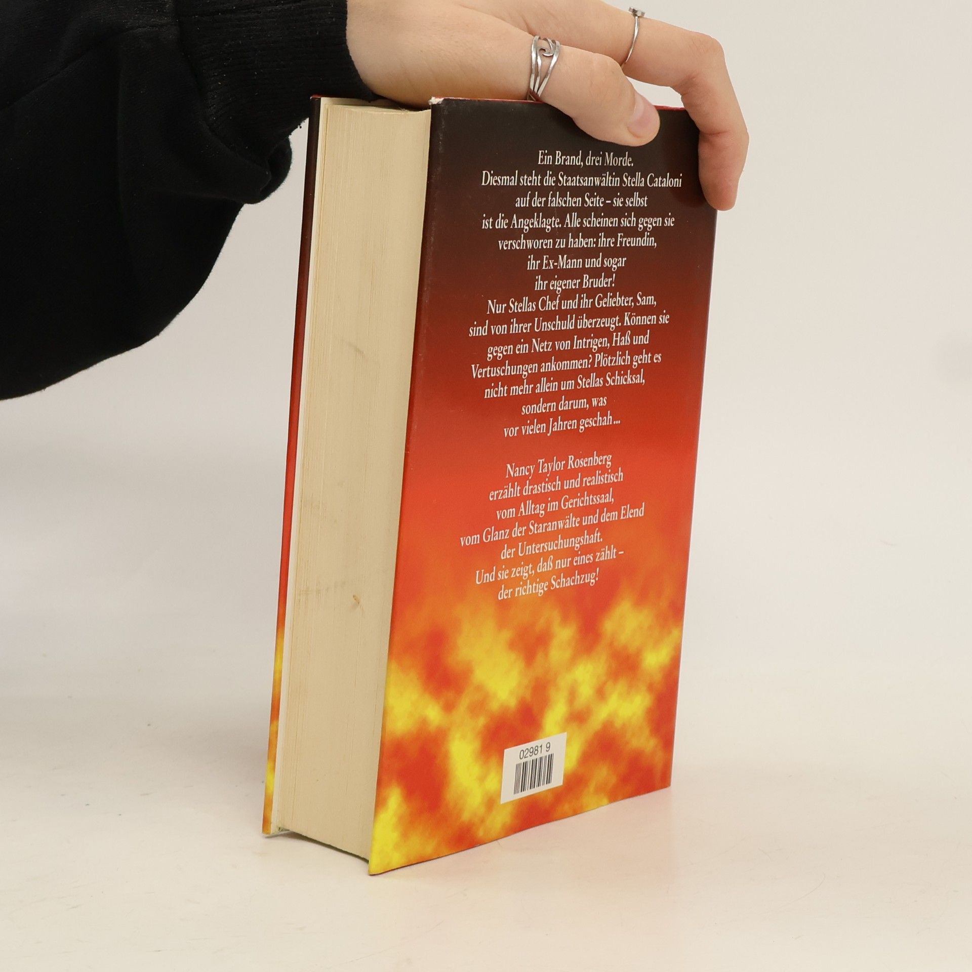 Nancy Taylor Rosenberg Die Feuerprobe