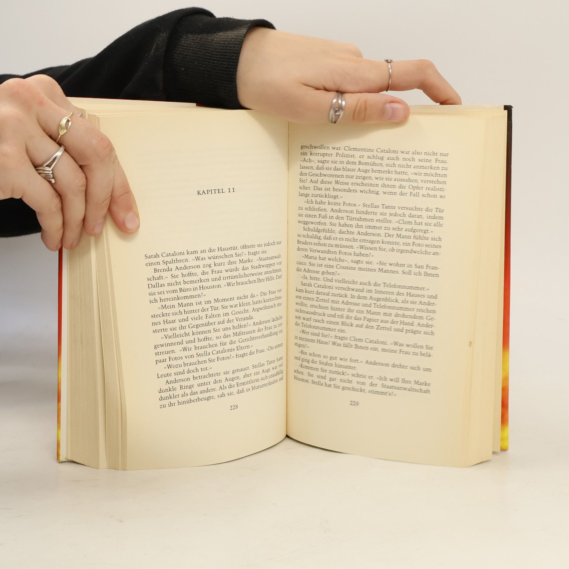 Nancy Taylor Rosenberg Die Feuerprobe