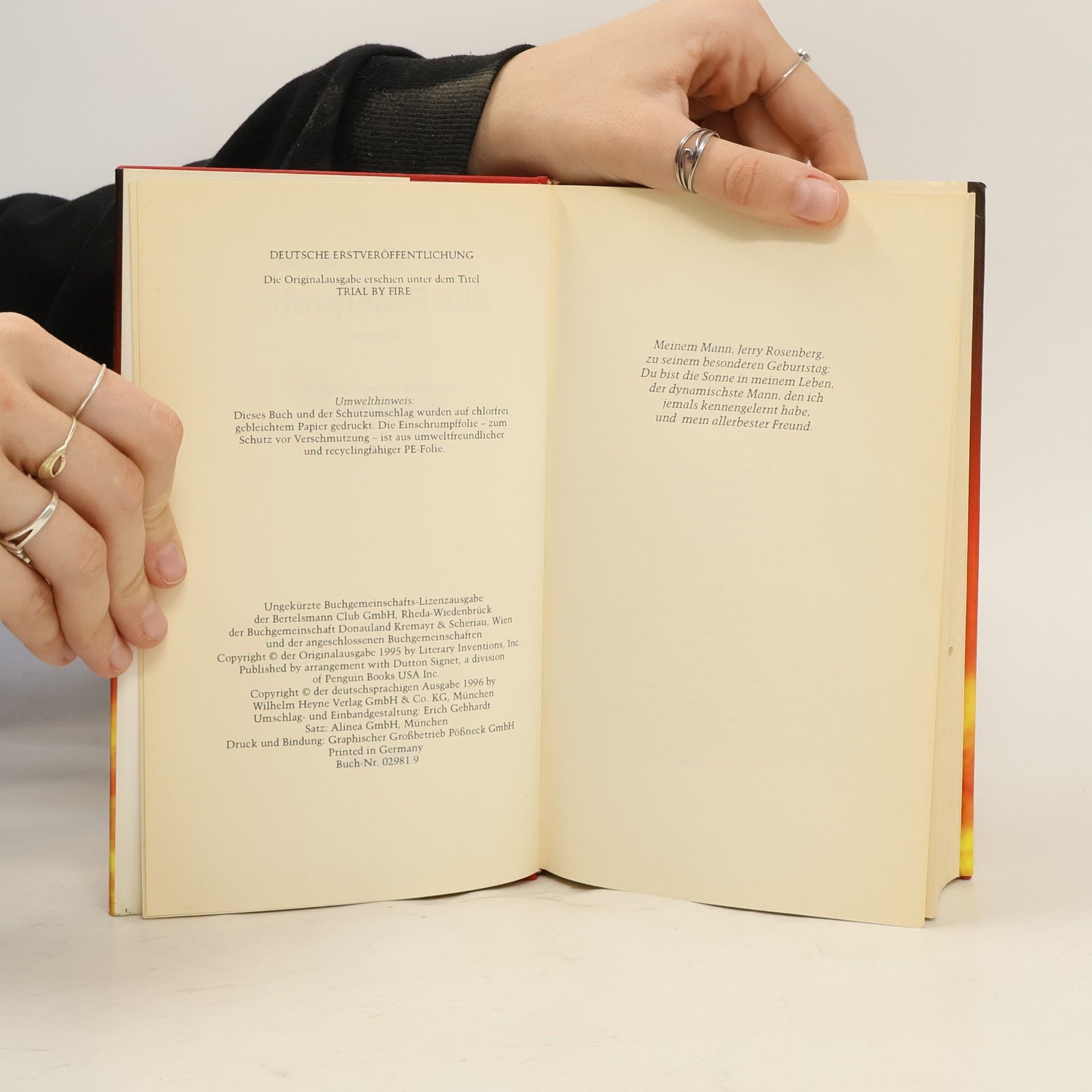 Nancy Taylor Rosenberg Die Feuerprobe