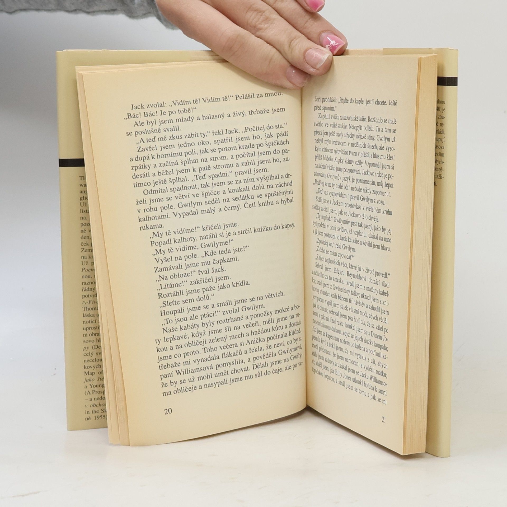 Dylan Thomas Portrét umělce jako štěněte