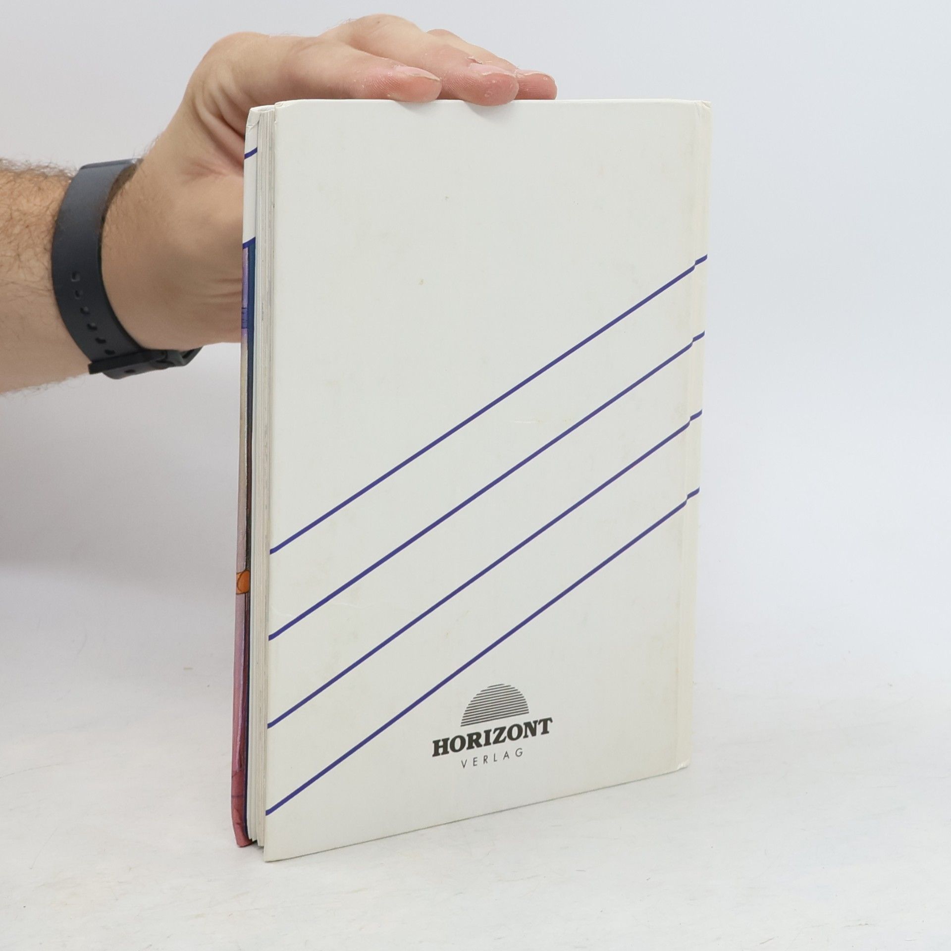 Autores varios Dagobert Duck wird verrückt