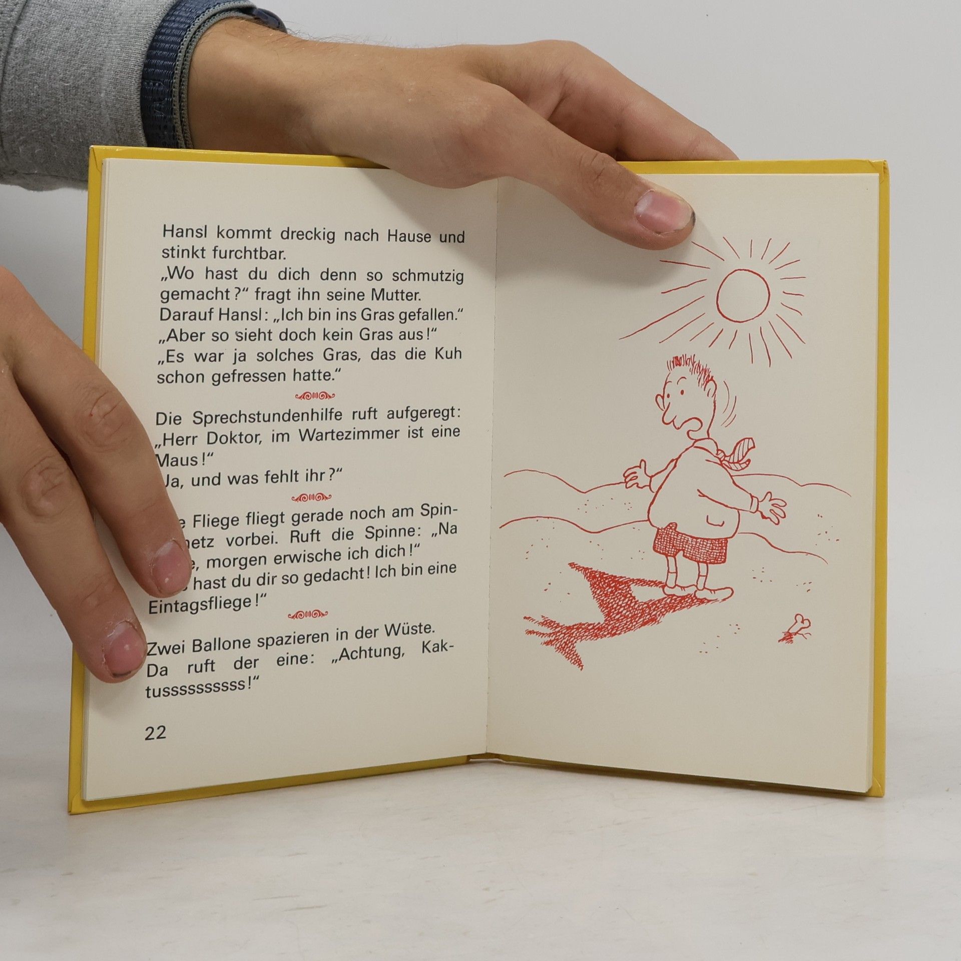 Mein erstes Witzbuch
