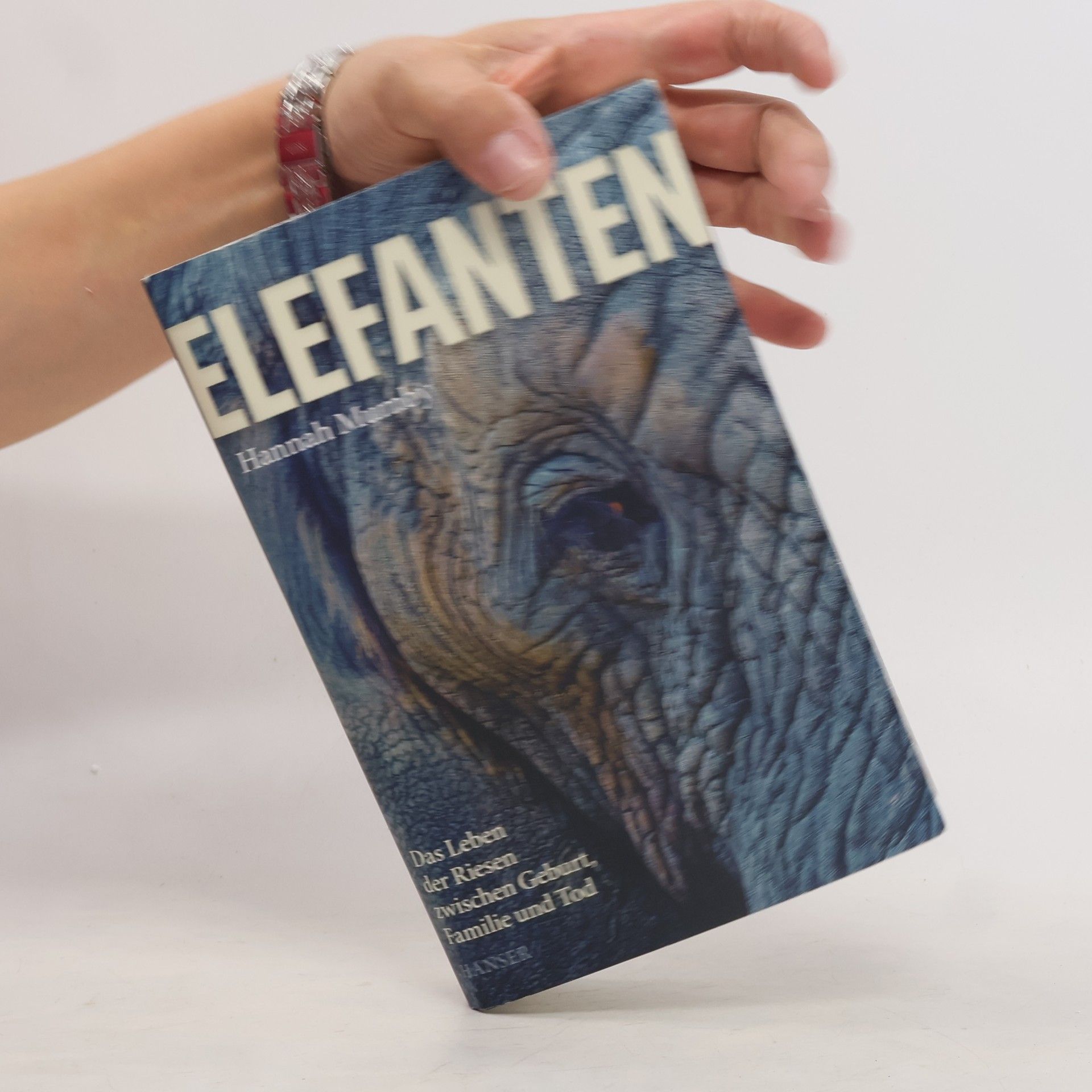 Hannah Mumby Elefanten