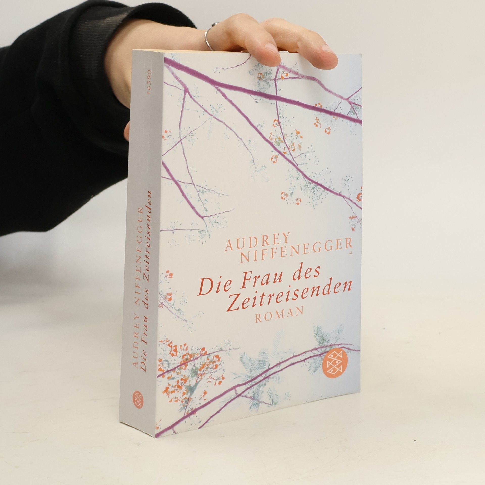 Audrey Niffenegger Die Frau des Zeitreisenden