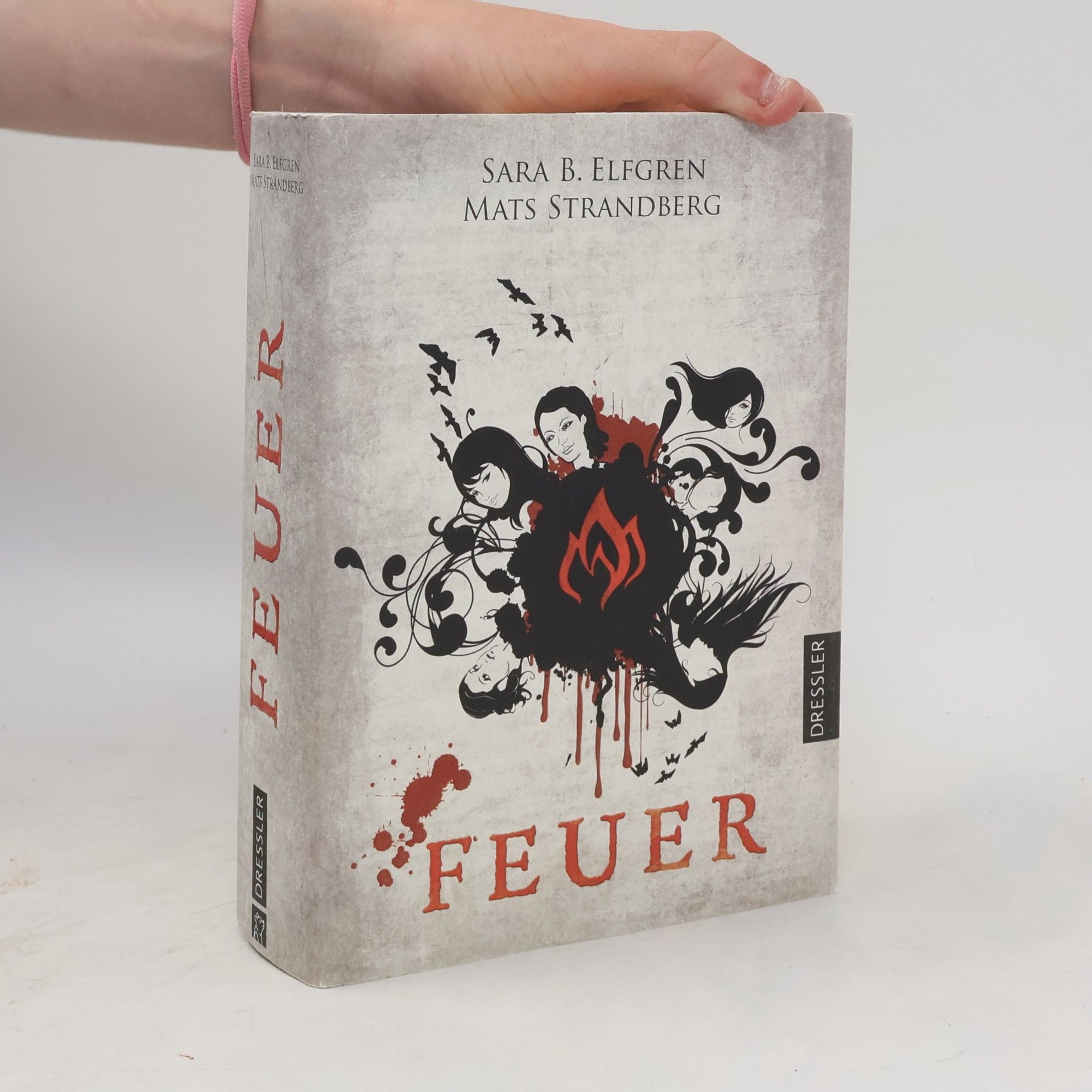 Mats Strandberg Feuer. Engelsfors- Trilogie 2