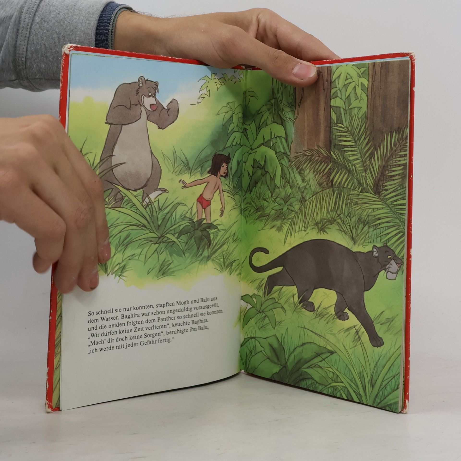 Autorenkollektiv Dschungelbuch. Moglis große Tat