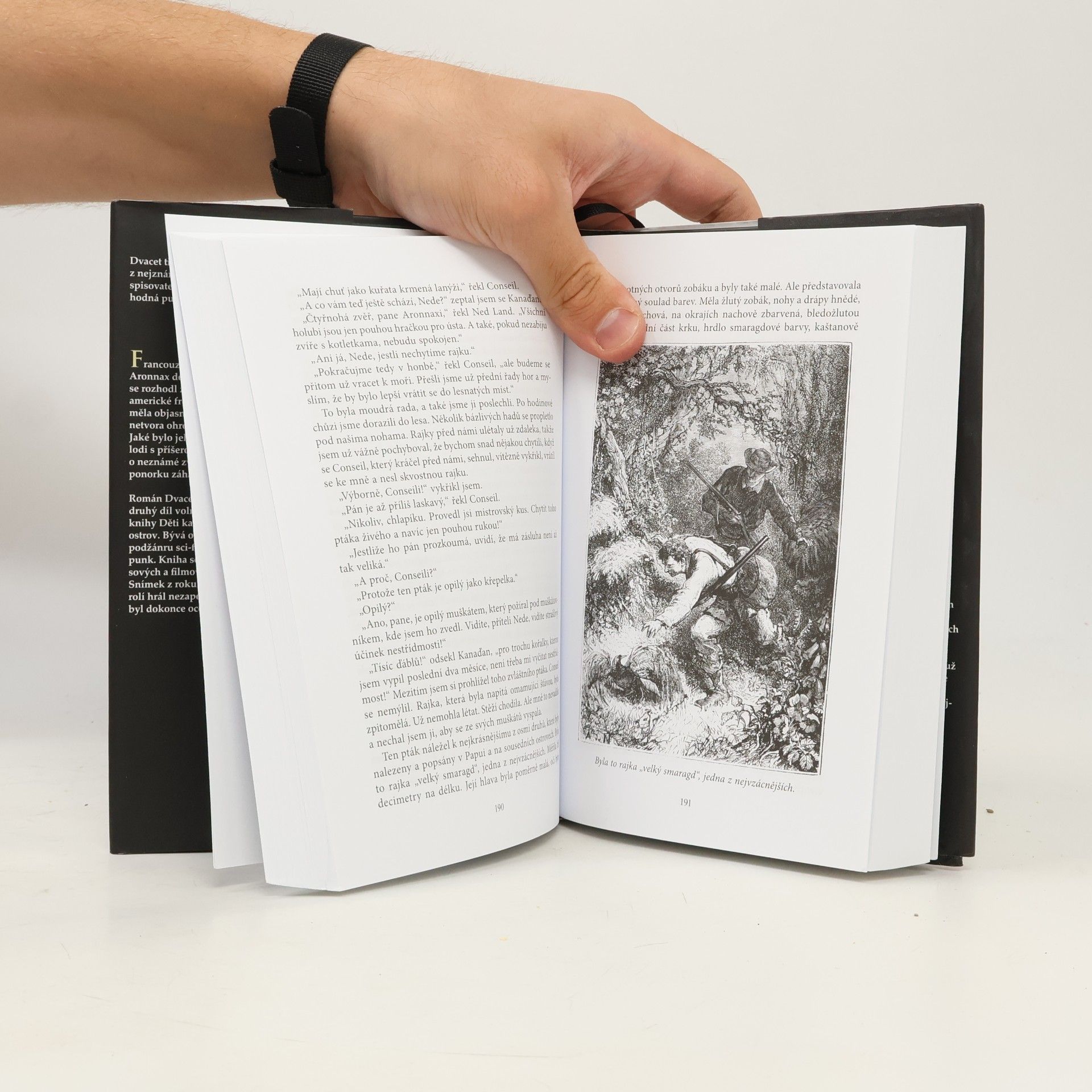 Jules Verne Dvacet tisíc mil pod mořem
