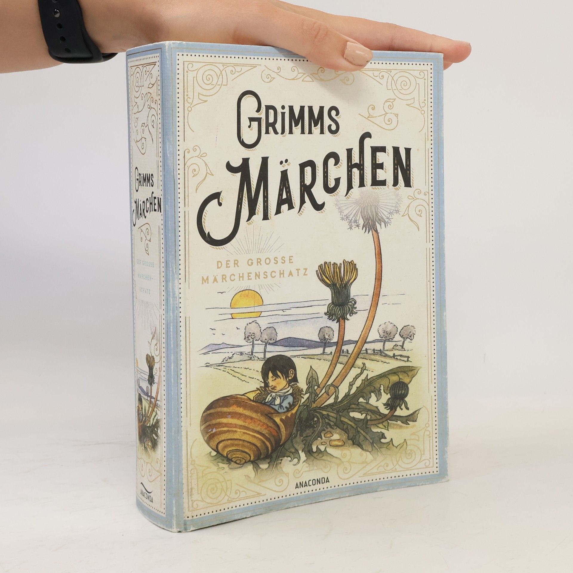 Jacob Grimm Grimms Märchen - vollständige und illustrierte Schmuckausgabe mit Goldprägung