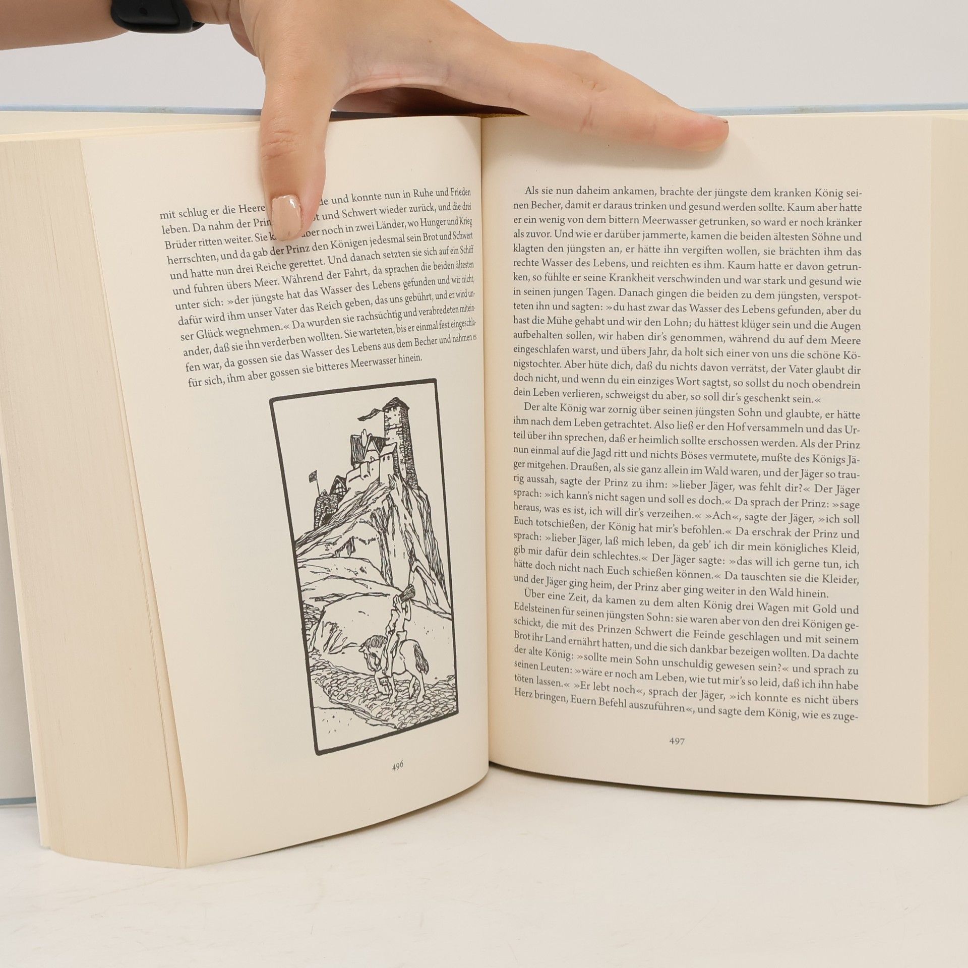 Jacob Grimm Grimms Märchen - vollständige und illustrierte Schmuckausgabe mit Goldprägung