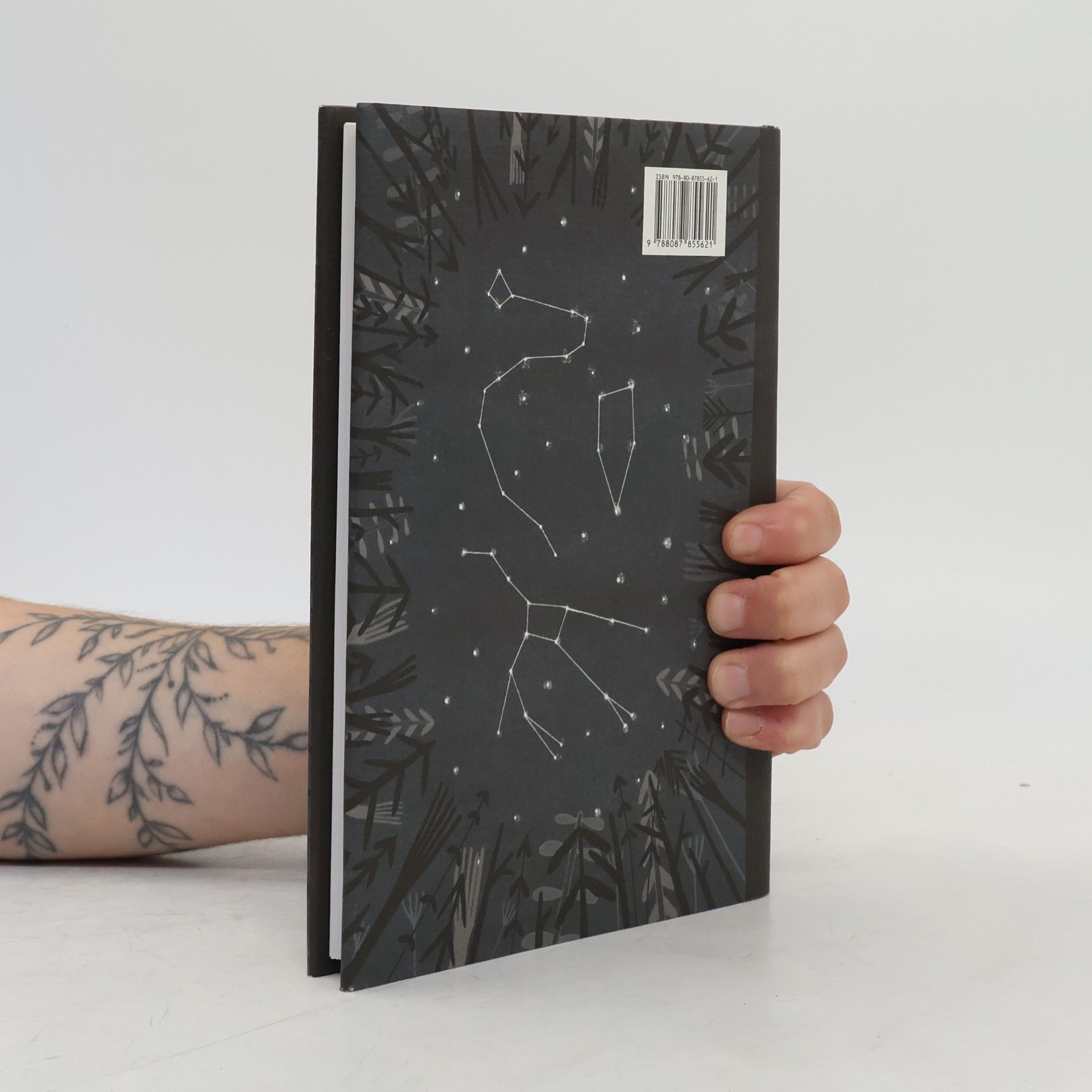 Autorenkollektiv Lesní lišky a další znepokojivé příběhy. Antologie finských fantastických povídek