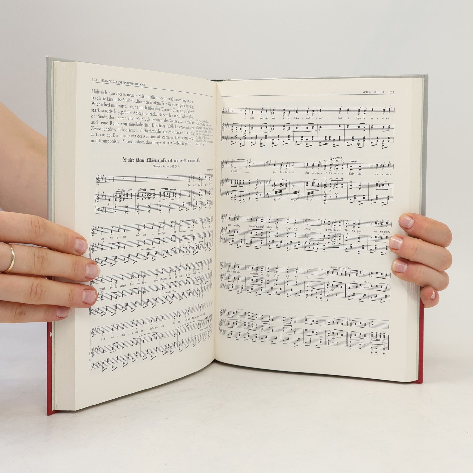 Rudolf Flotzinger Geschichte der Musik in Österreich
