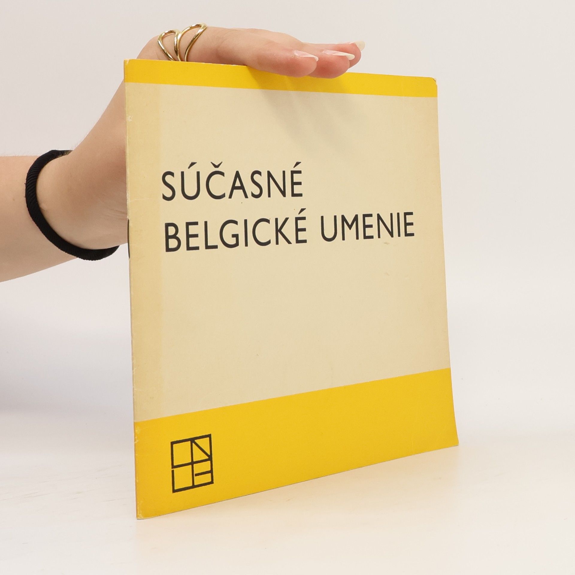Autorenkollektiv Súčasné belgické umenie