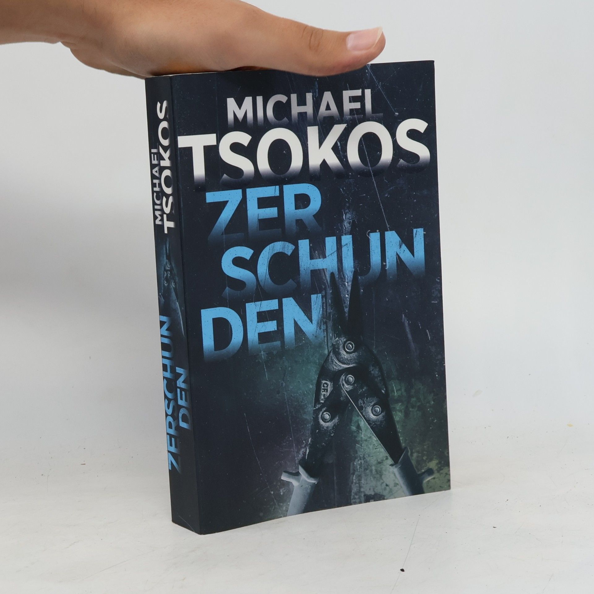 Michael Tsokos Zerschunden