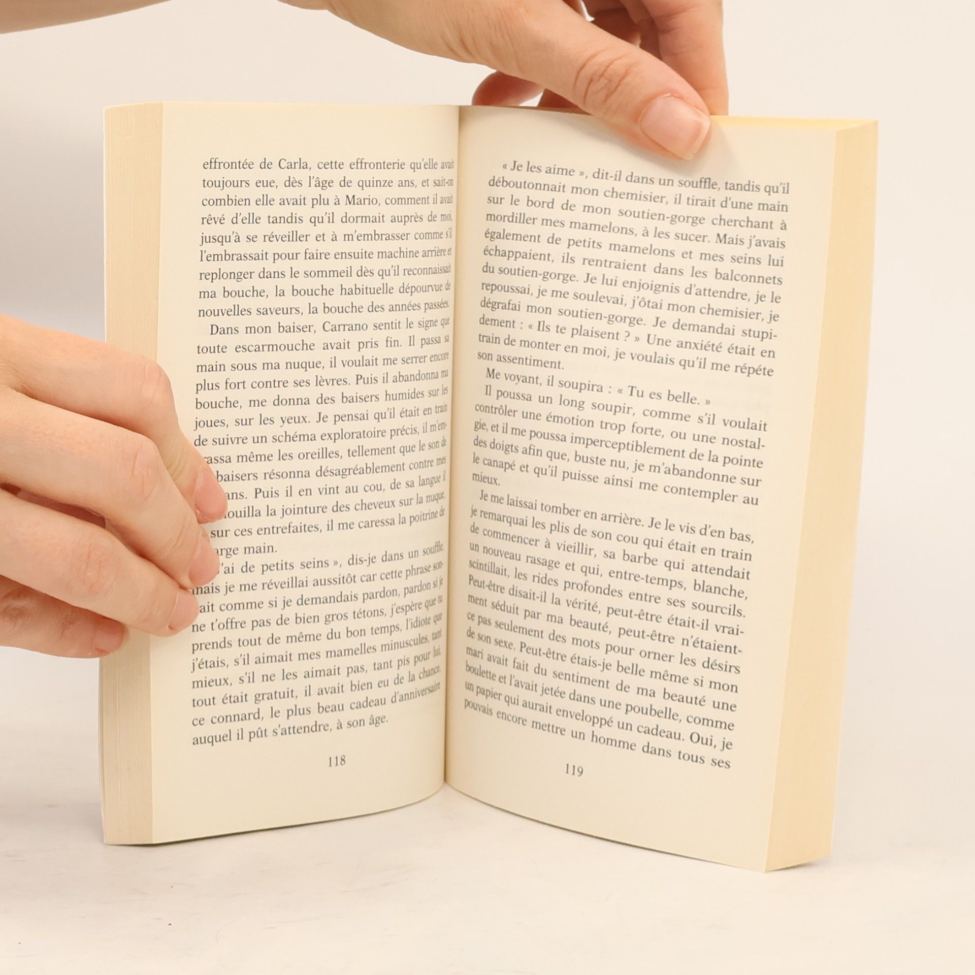 Elena Ferrante Les jours de mon abandon