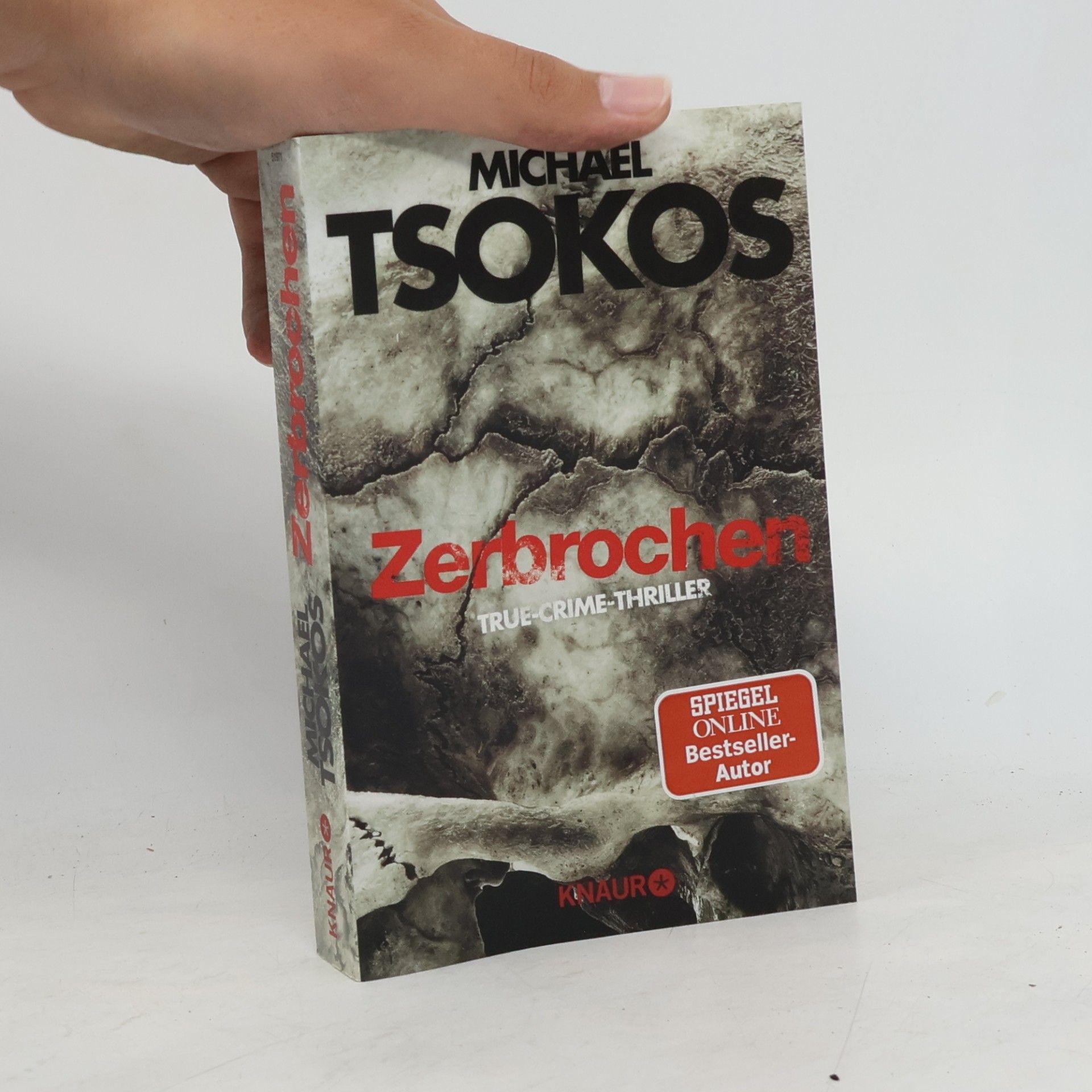 Michael Tsokos Zerbrochen