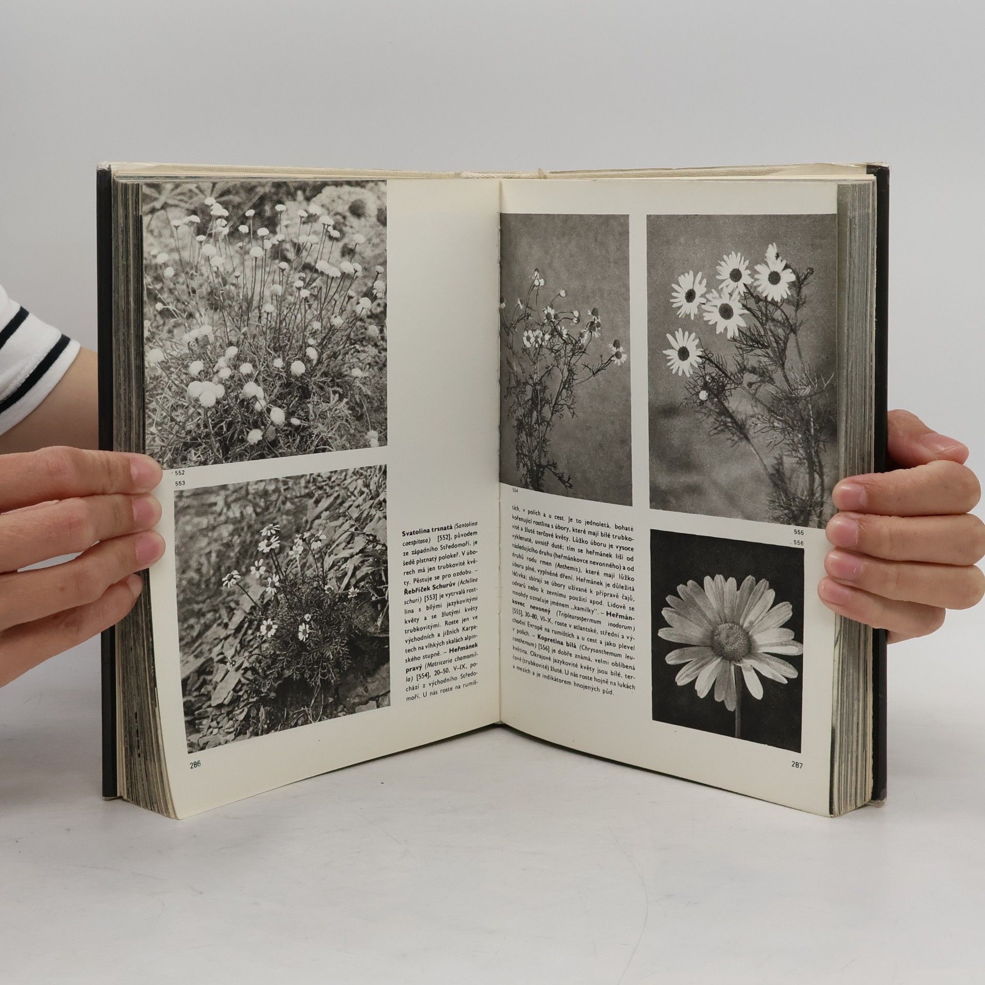 František Antonín Novák Velký obrazový atlas rostlin