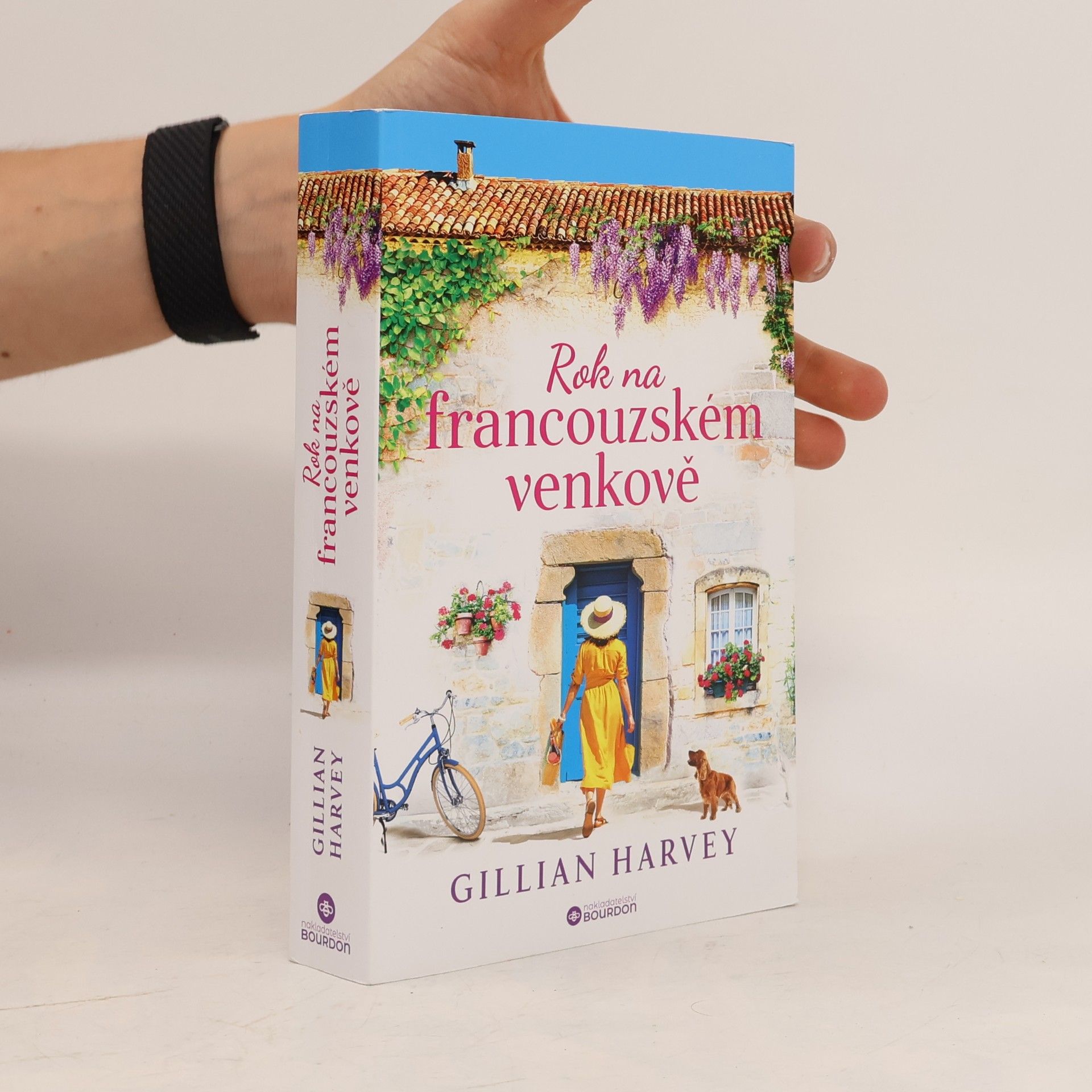 Gillian Harvey Rok na francouzském venkově