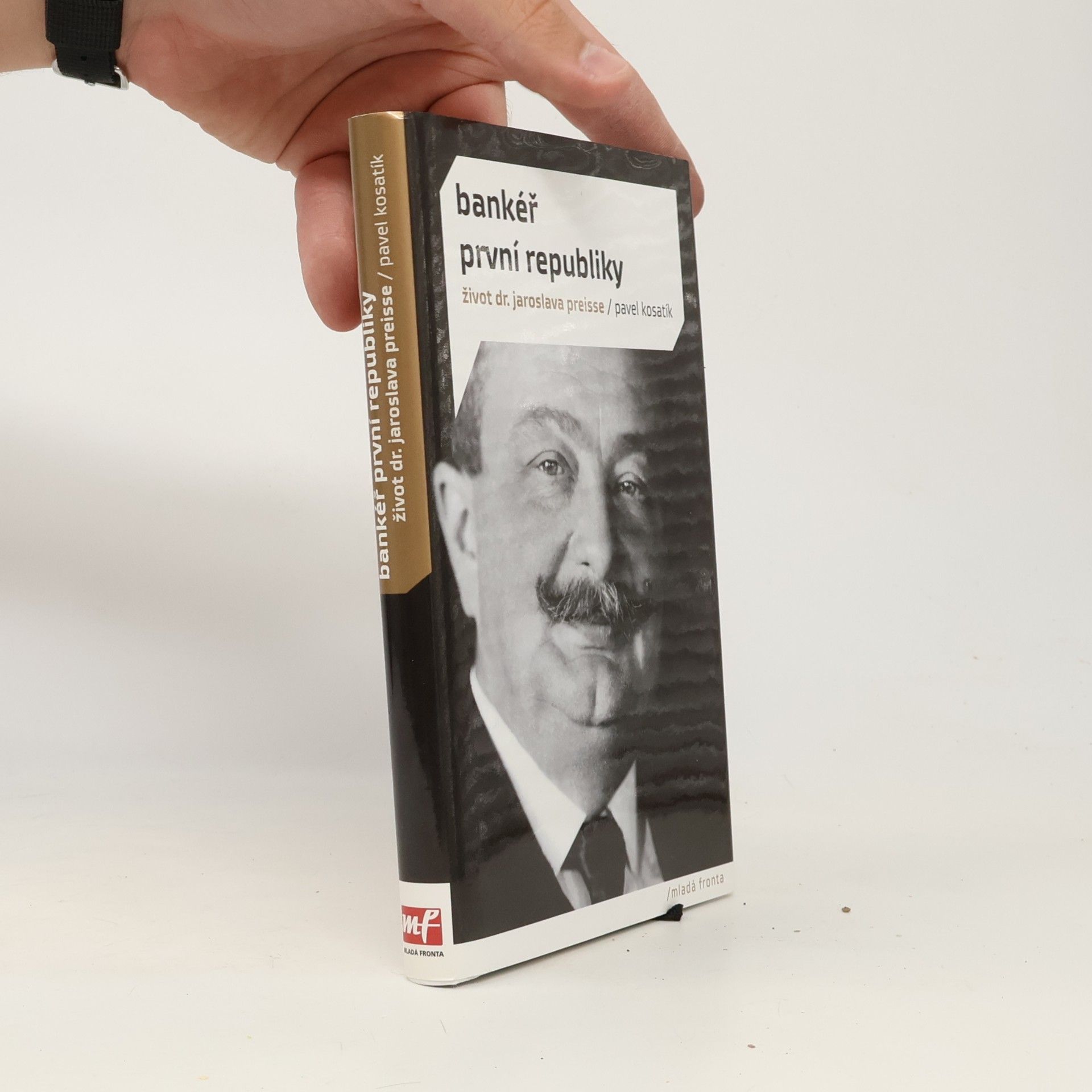 Pavel Kosatík Bankéř první republiky