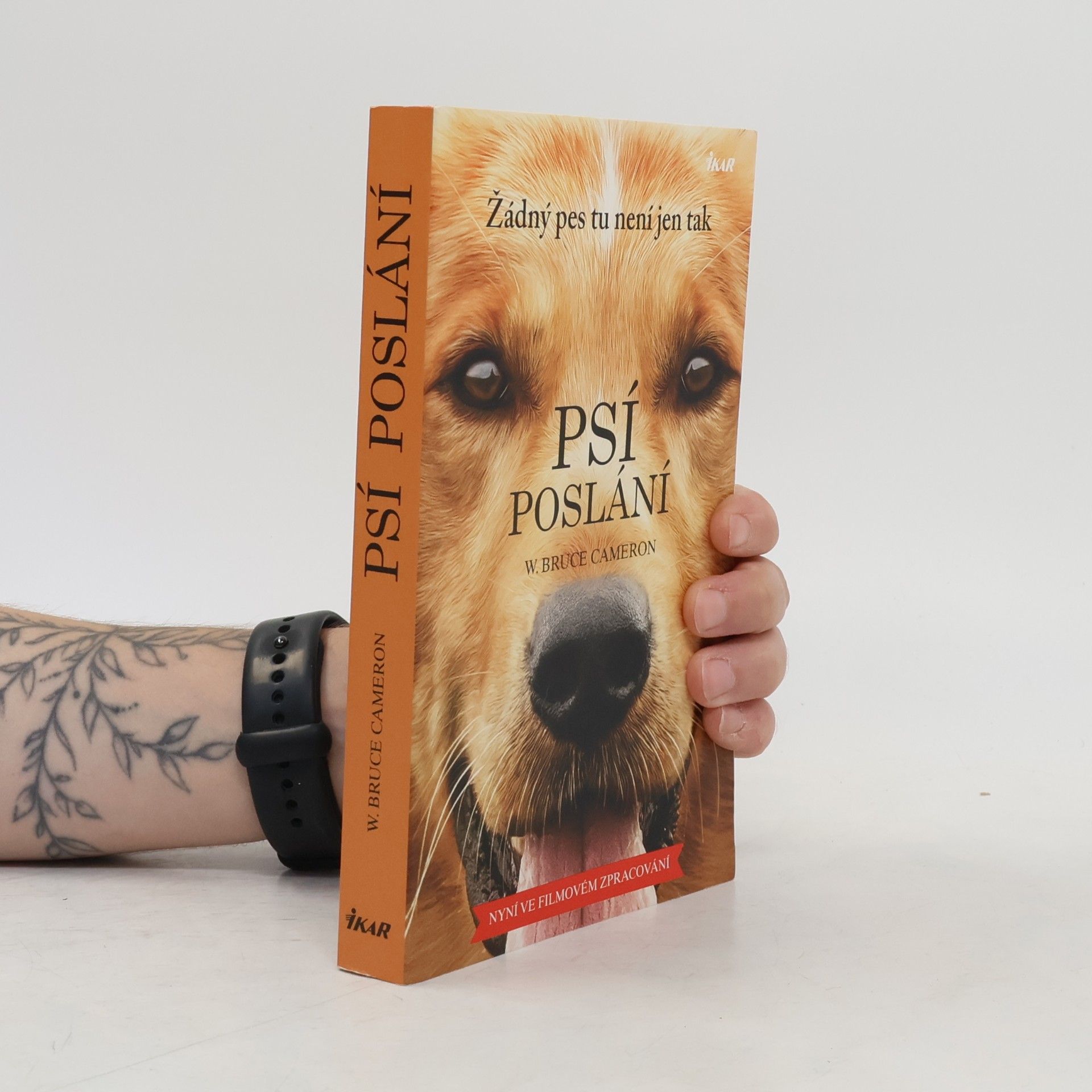 W. Bruce Cameron Psí poslání. Žádný pes tu není jen tak