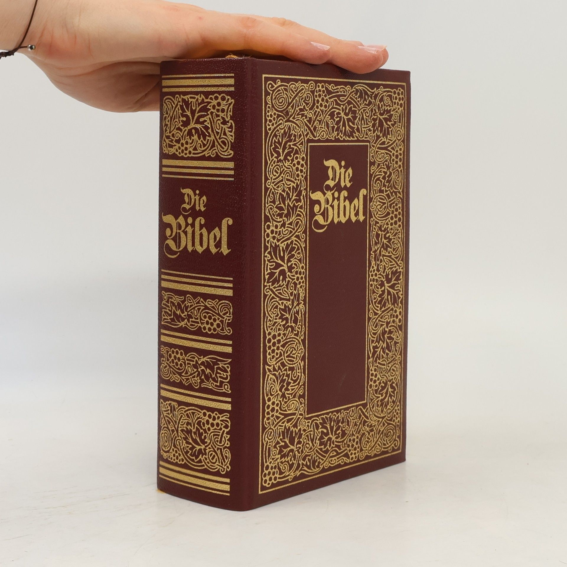AA.VV. Die Bibel