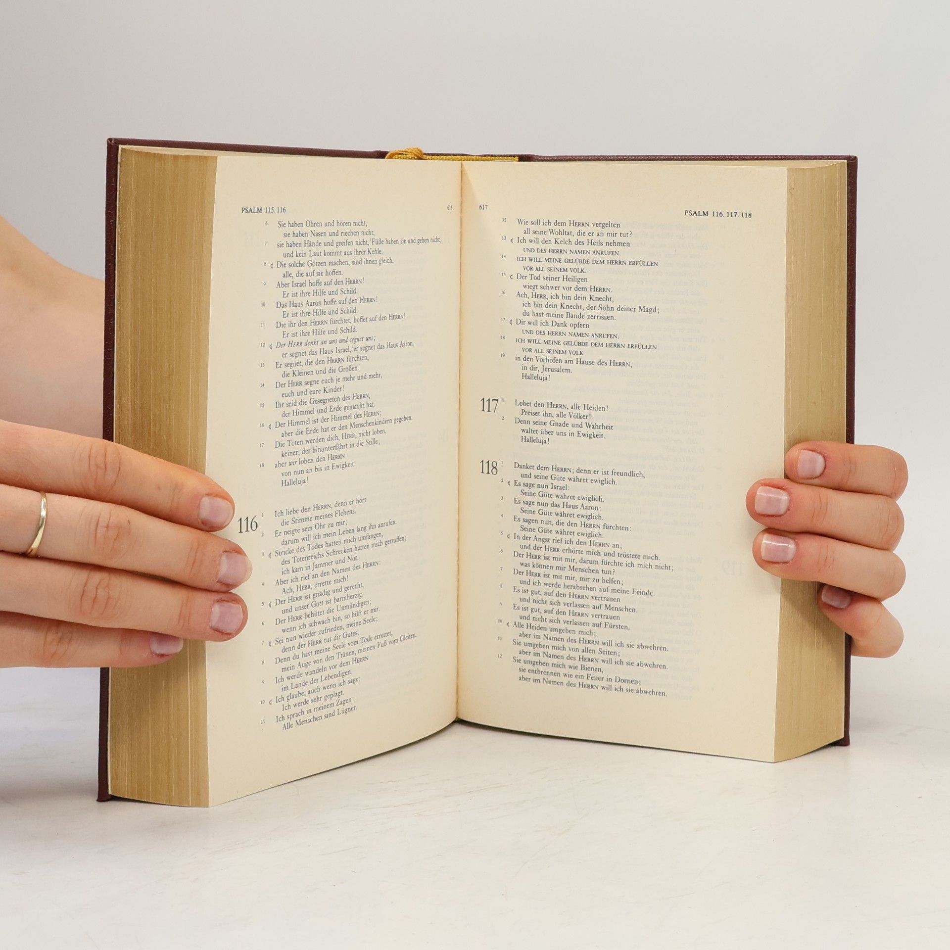 AA.VV. Die Bibel
