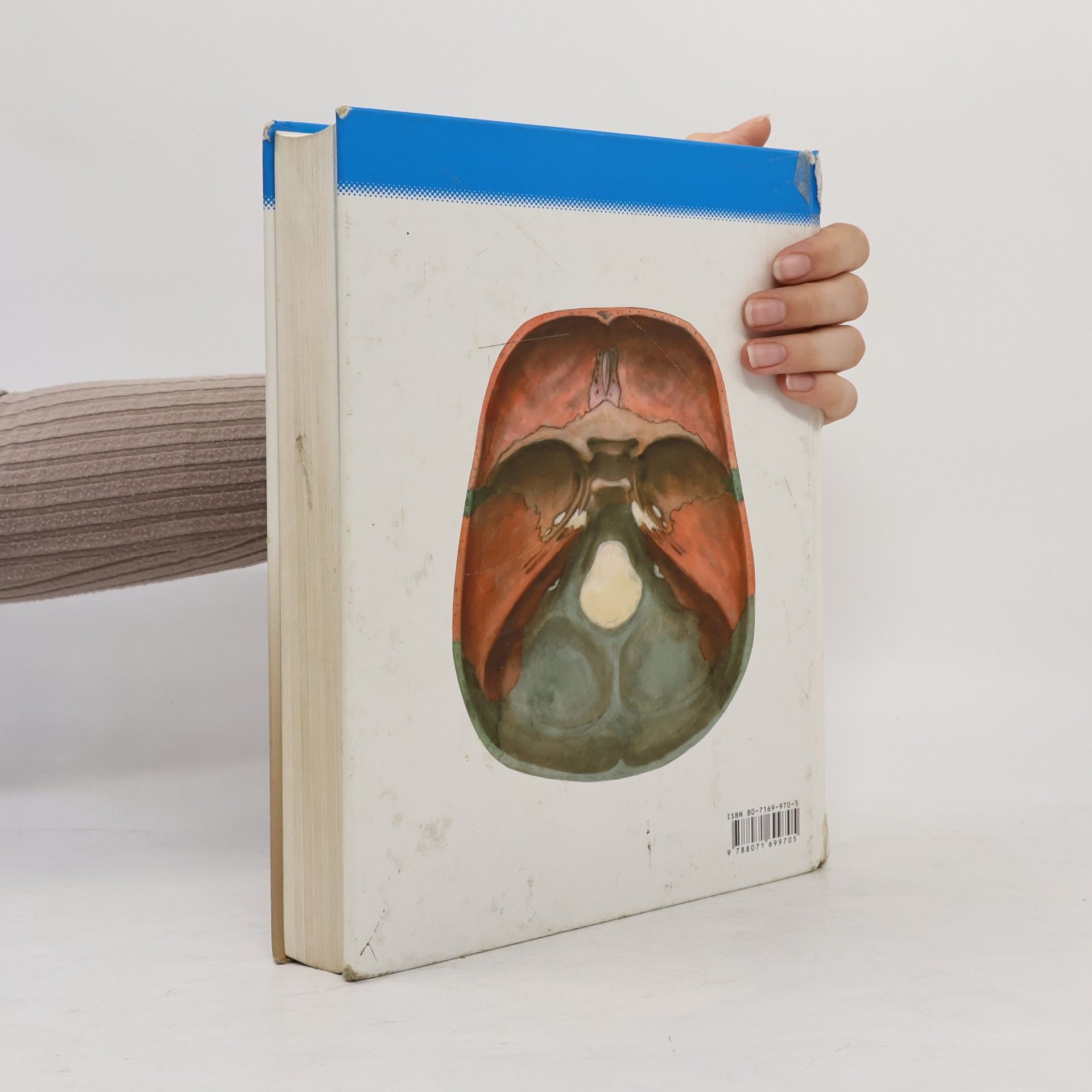 Radomír Čihák Anatomie 1