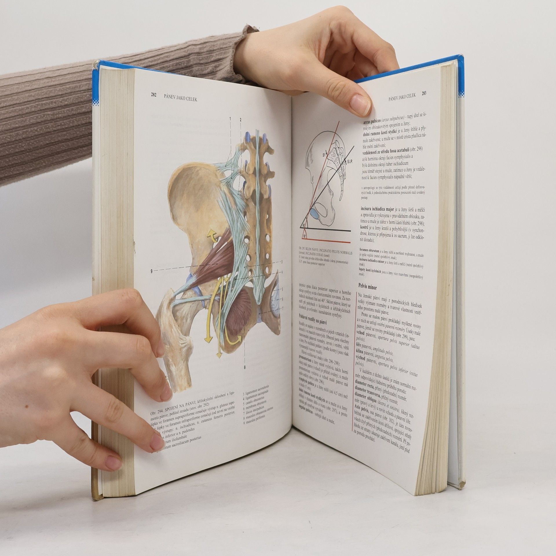 Radomír Čihák Anatomie 1