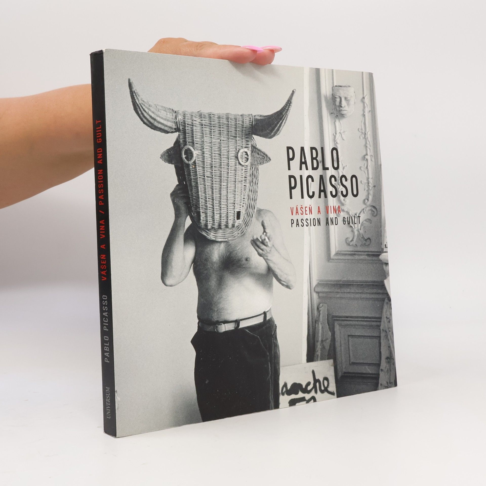Renáta Sobolevičová Pablo Picasso : Vášeň a vina : Passion and guilt