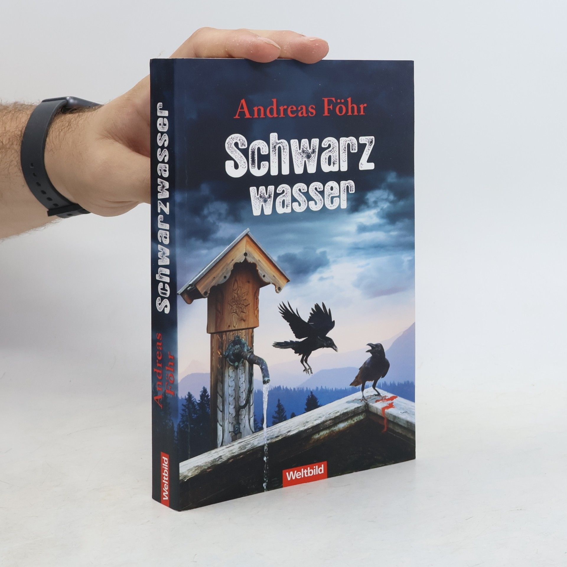 Andreas Föhr Schwarzwasser