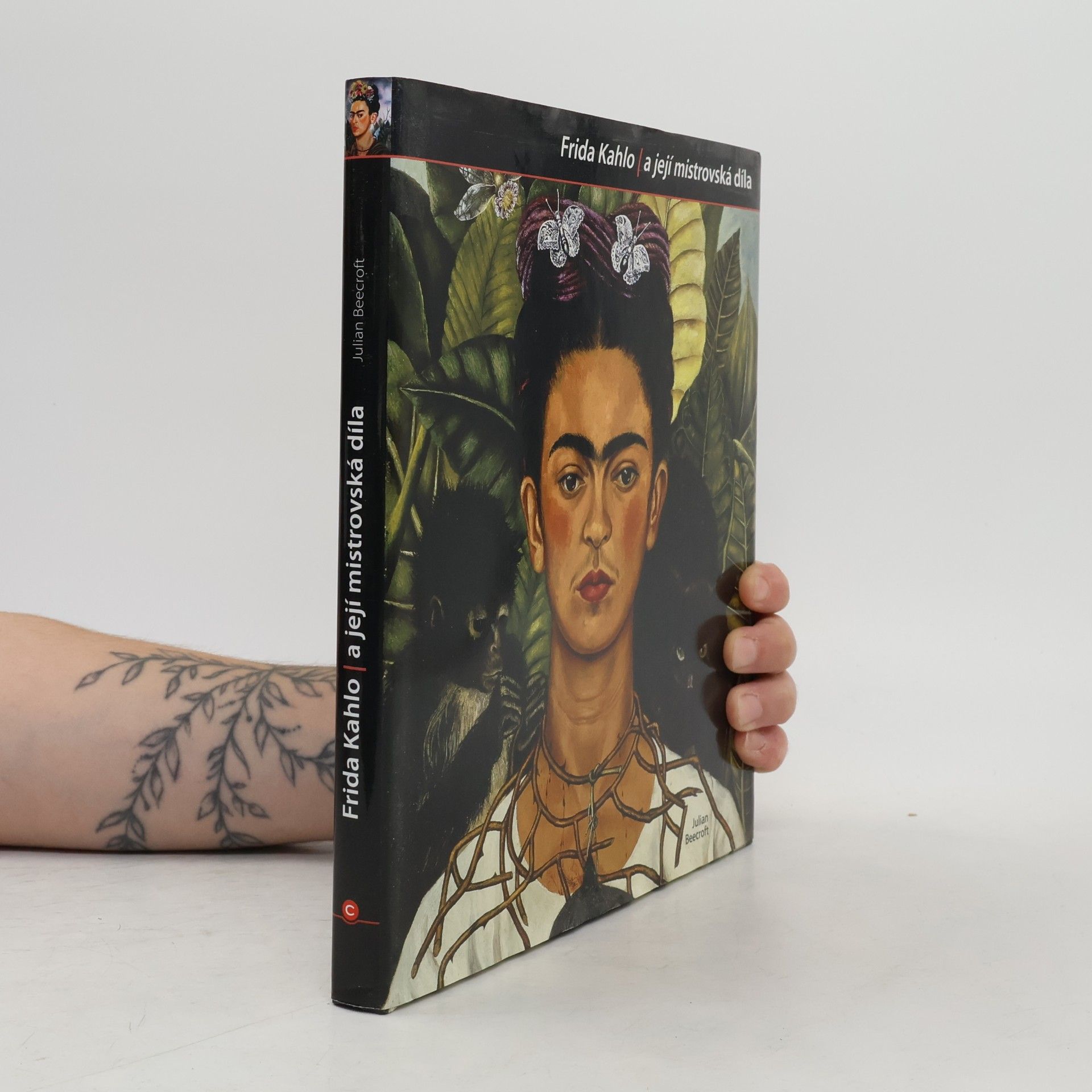 Julian Beecroft Frida Kahlo a její mistrovská díla