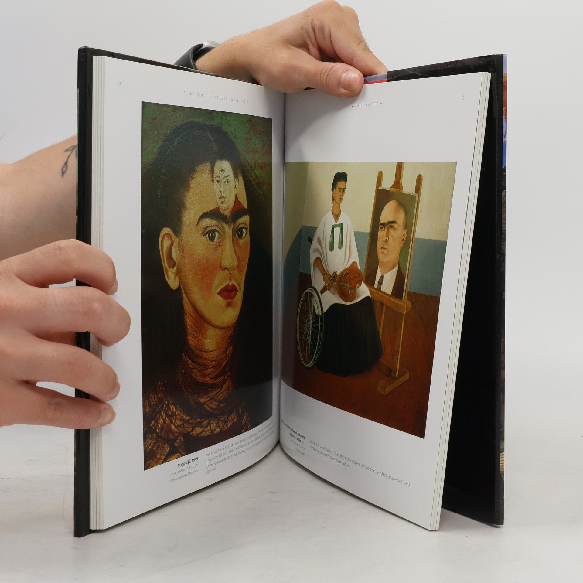 Julian Beecroft Frida Kahlo a její mistrovská díla