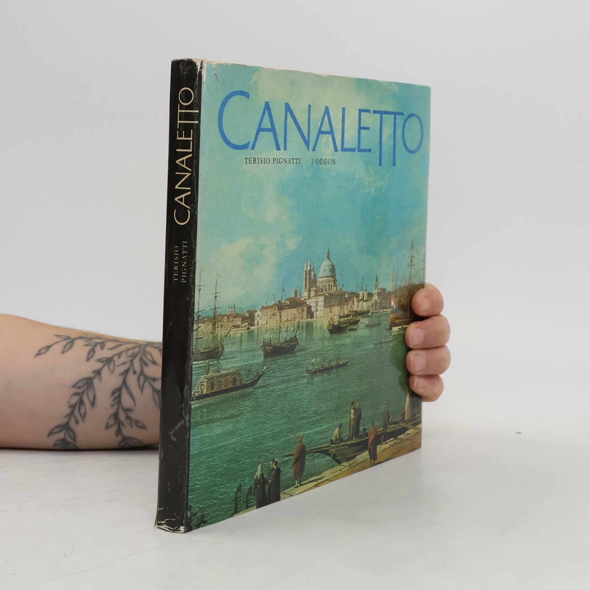 Terisio Pignatti Canaletto