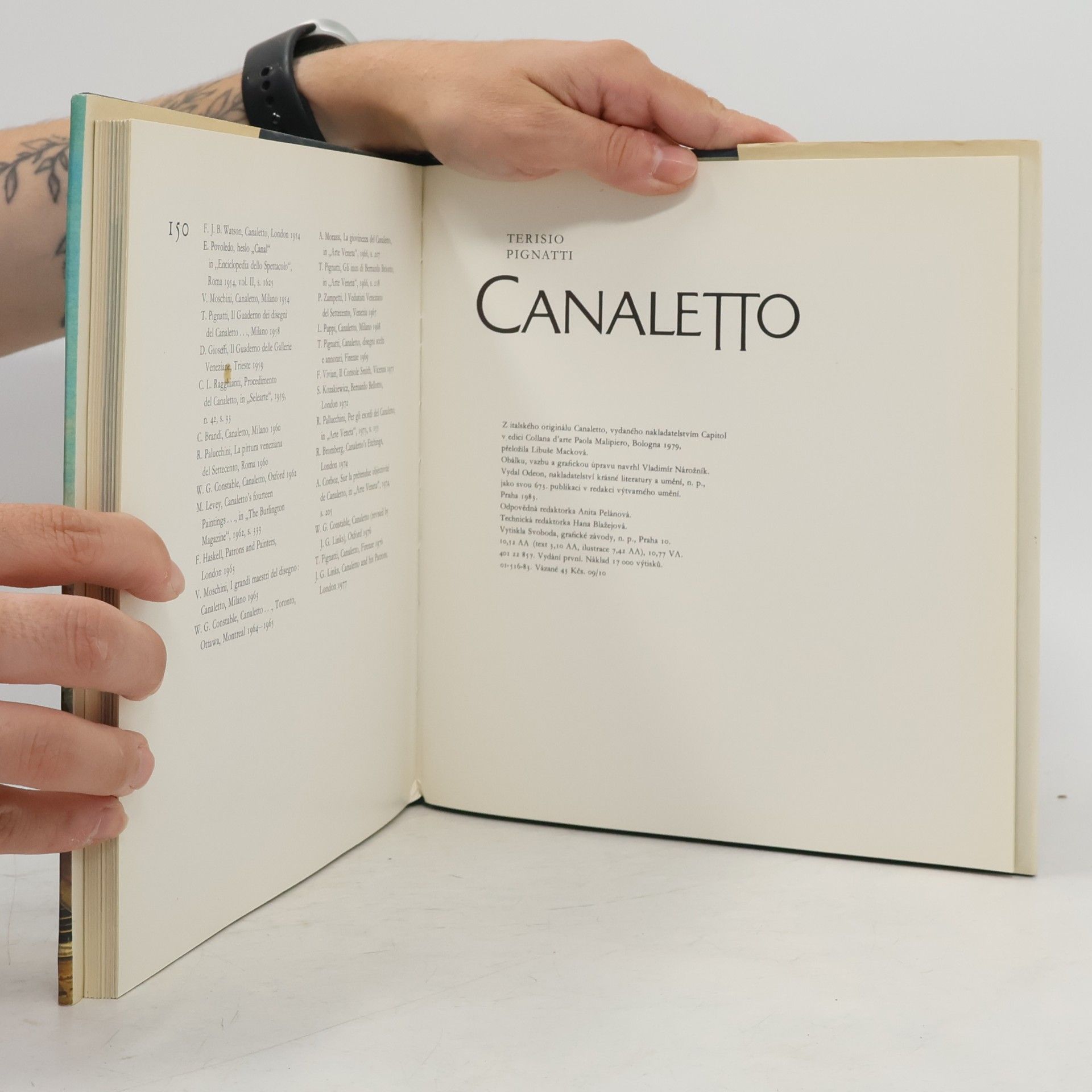 Terisio Pignatti Canaletto